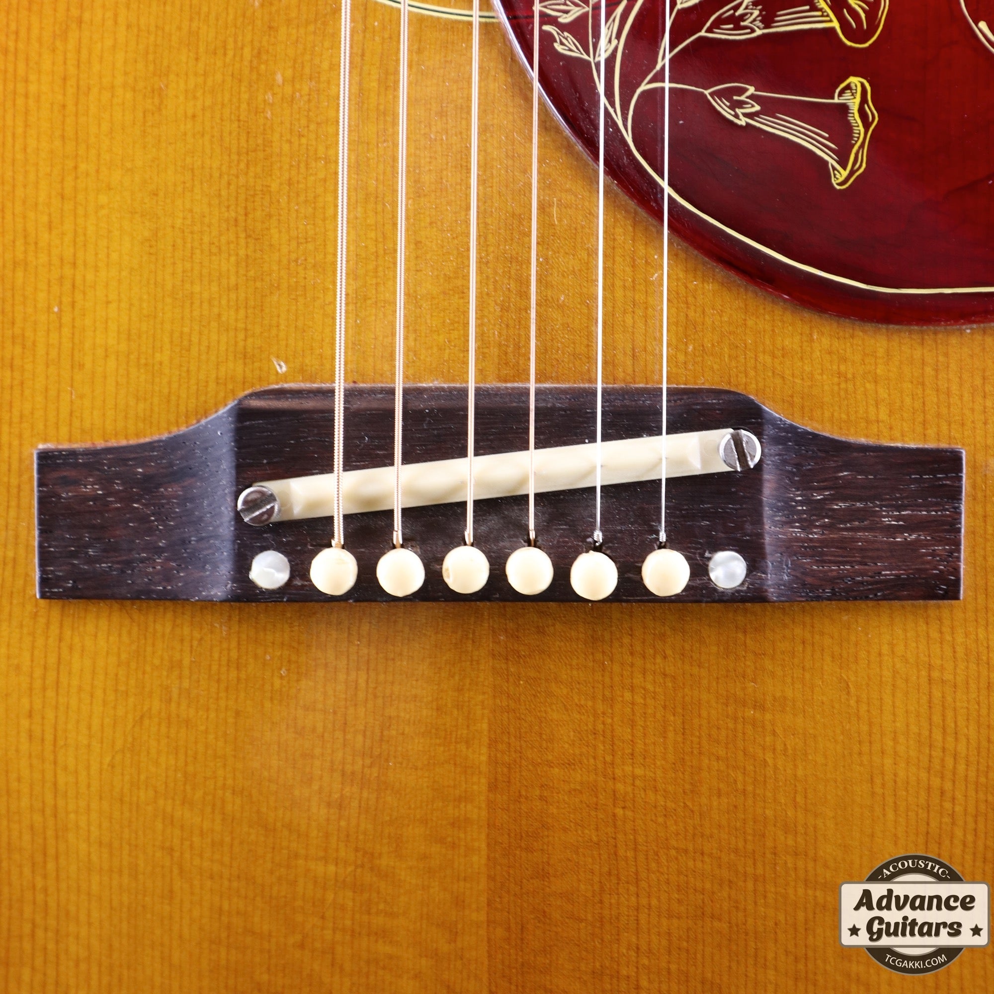 1963年製 Hummingbird Maple - TC楽器 - TCGAKKI