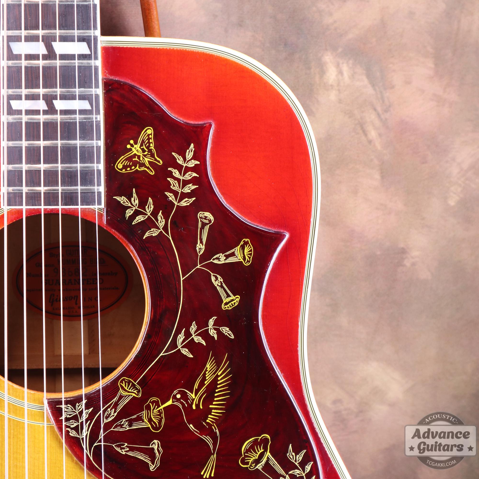 1963年製 Hummingbird Maple - TC楽器 - TCGAKKI