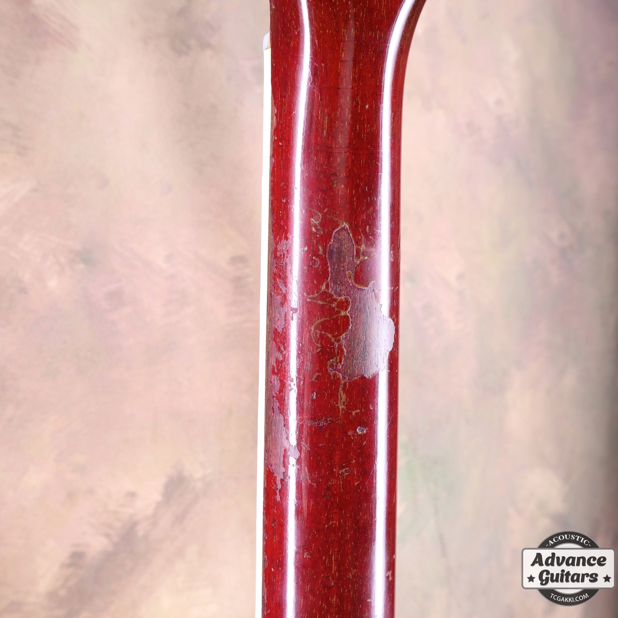 1963年製 Hummingbird Maple - TC楽器 - TCGAKKI