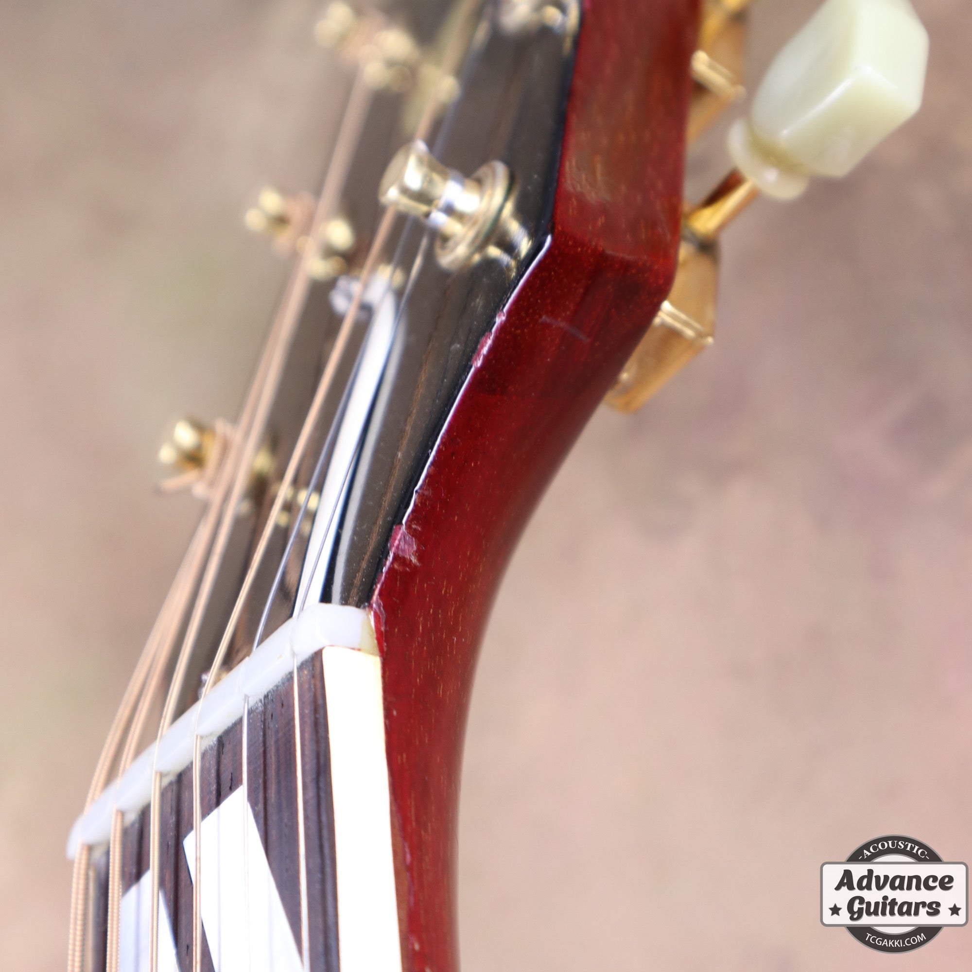 1963年製 Hummingbird Maple - TC楽器 - TCGAKKI