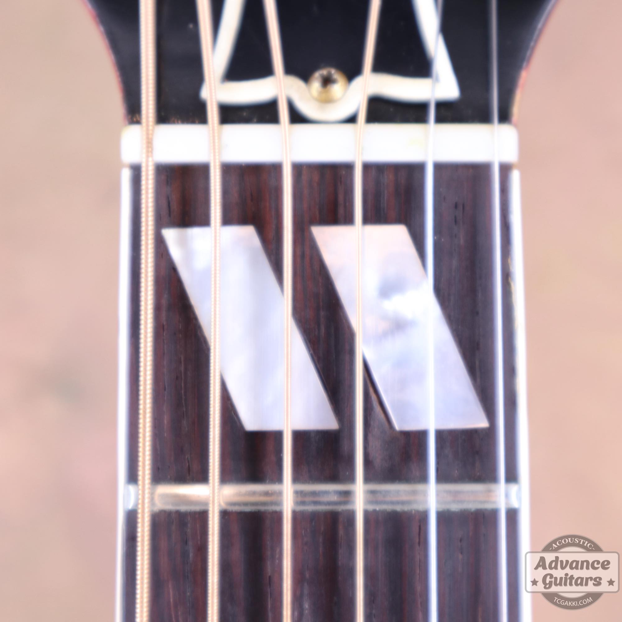 1963年製 Hummingbird Maple - TC楽器 - TCGAKKI