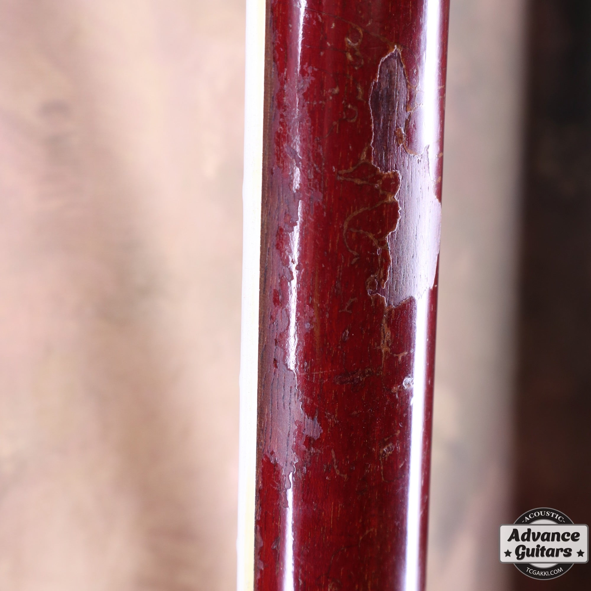 1963年製 Hummingbird Maple - TC楽器 - TCGAKKI