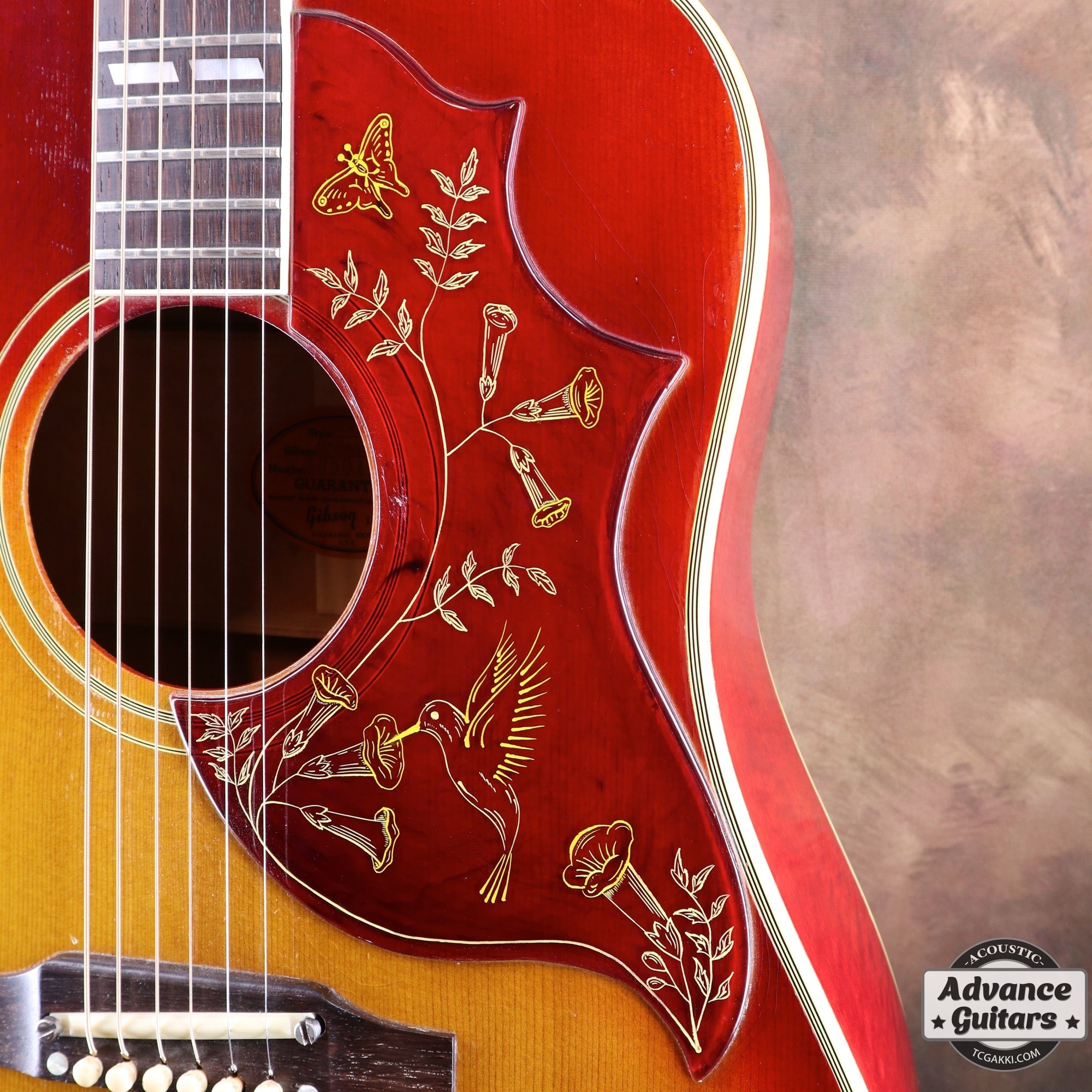 1963年製 Hummingbird Maple - TC楽器 - TCGAKKI