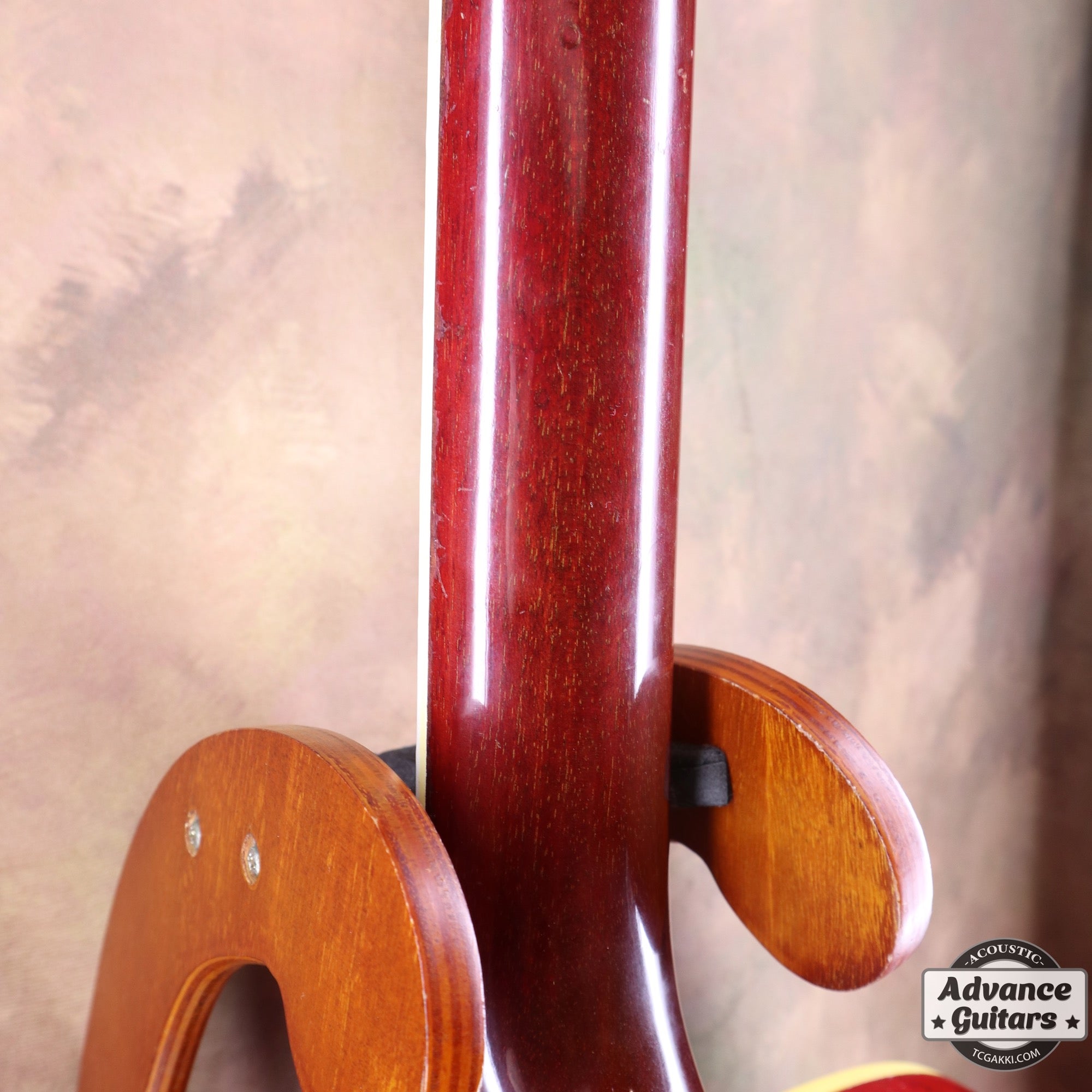 1963年製 Hummingbird Maple - TC楽器 - TCGAKKI