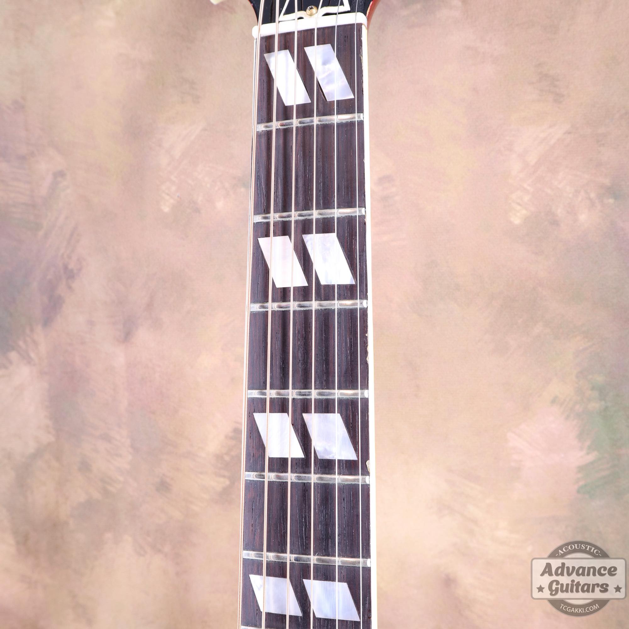 1963年製 Hummingbird Maple - TC楽器 - TCGAKKI