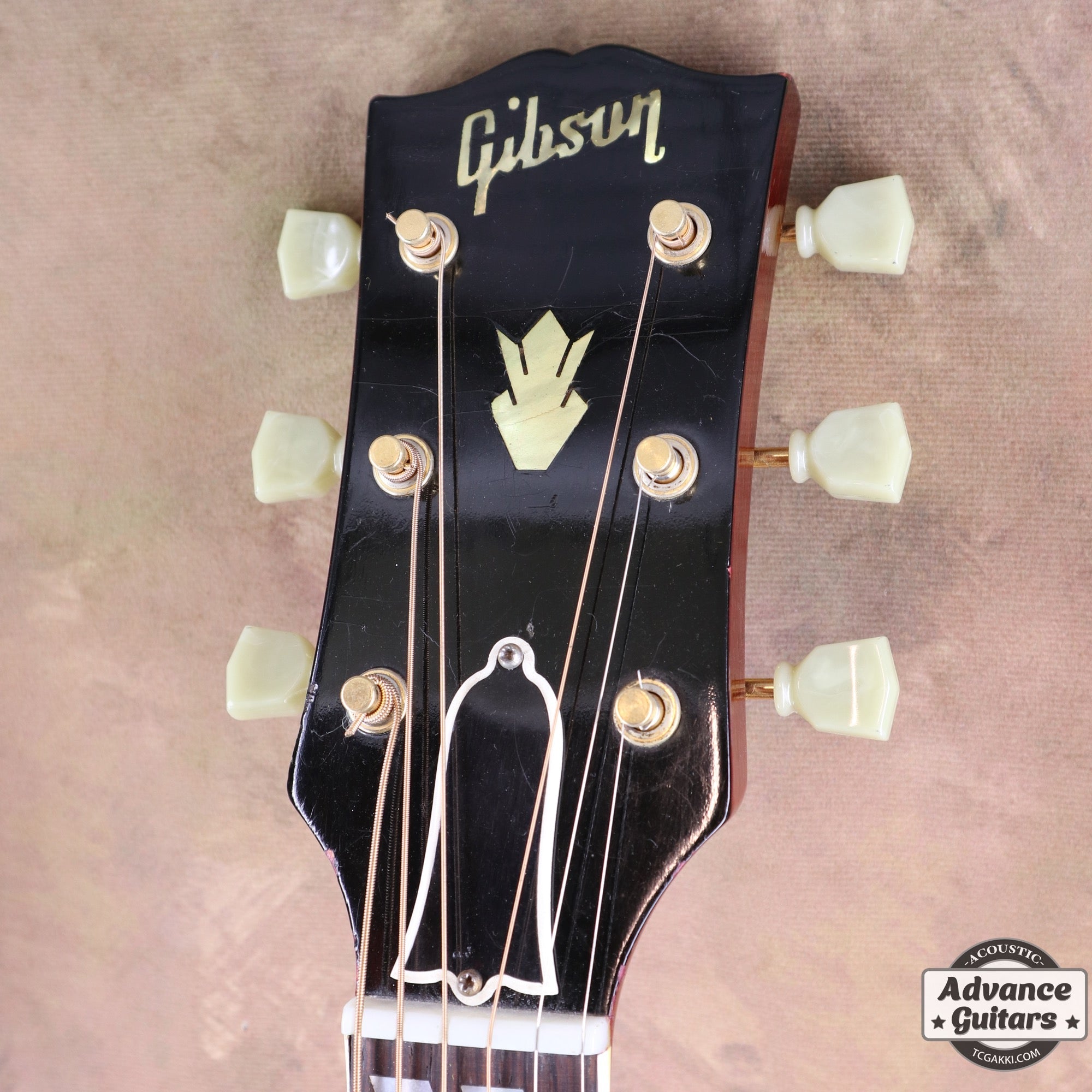 1963年製 Hummingbird Maple - TC楽器 - TCGAKKI