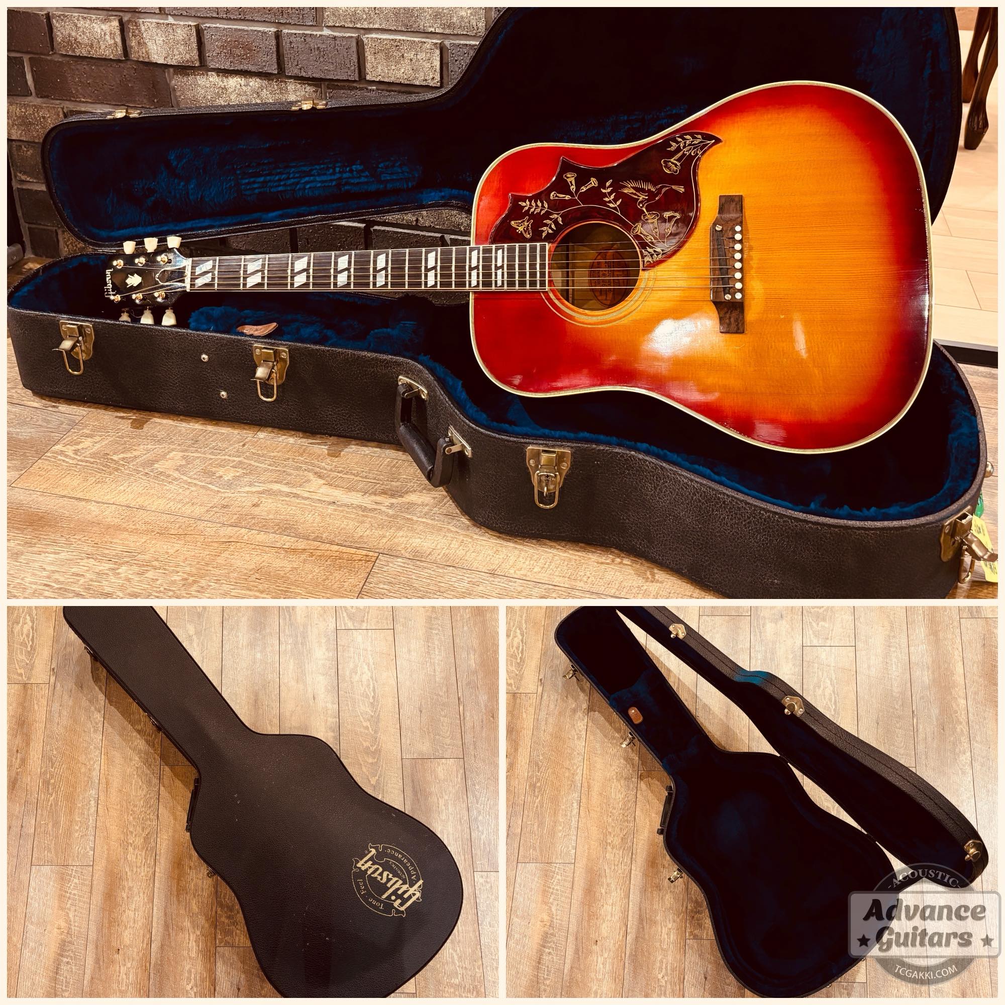 1963年製 Hummingbird Maple - TC楽器 - TCGAKKI