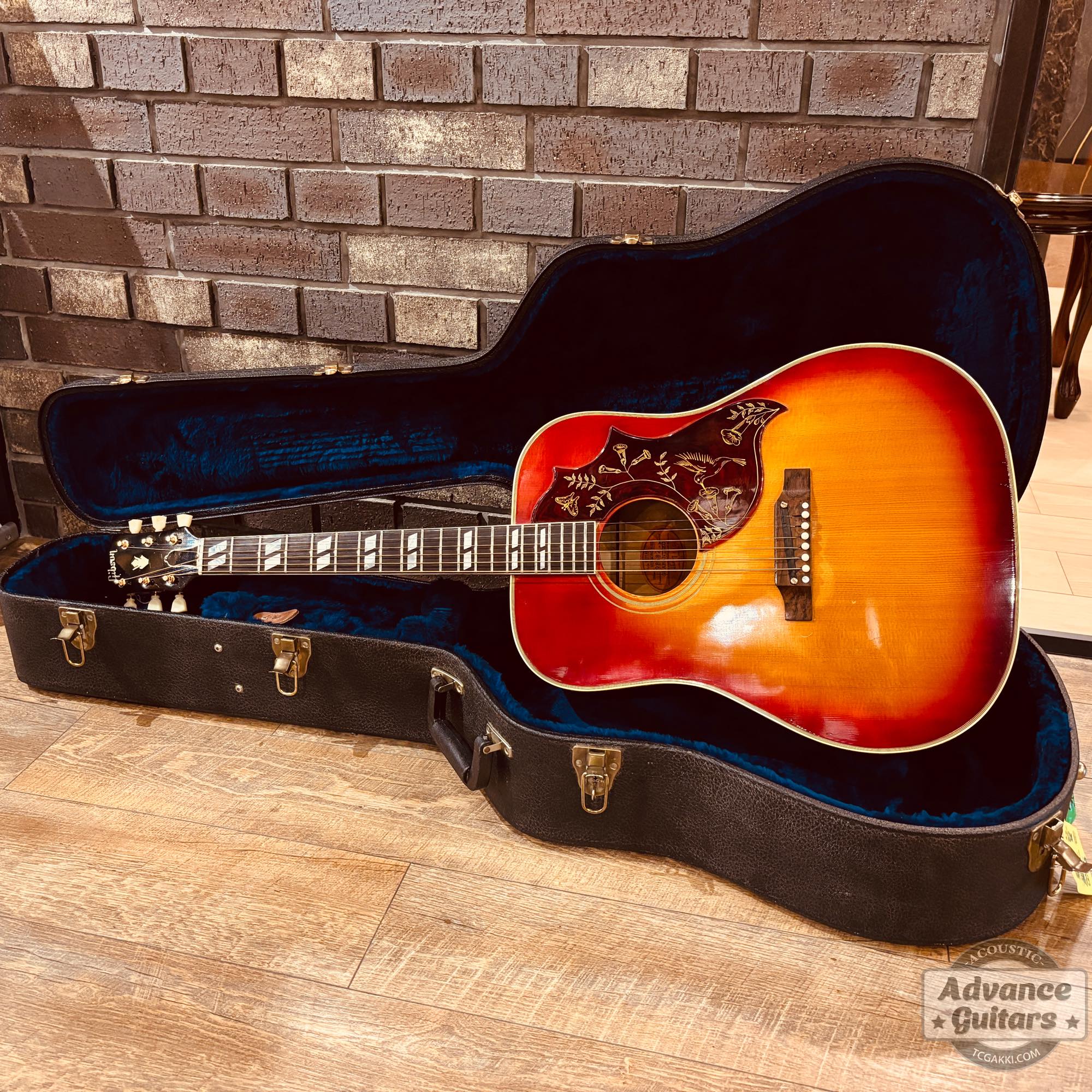 1963年製 Hummingbird Maple - TC楽器 - TCGAKKI