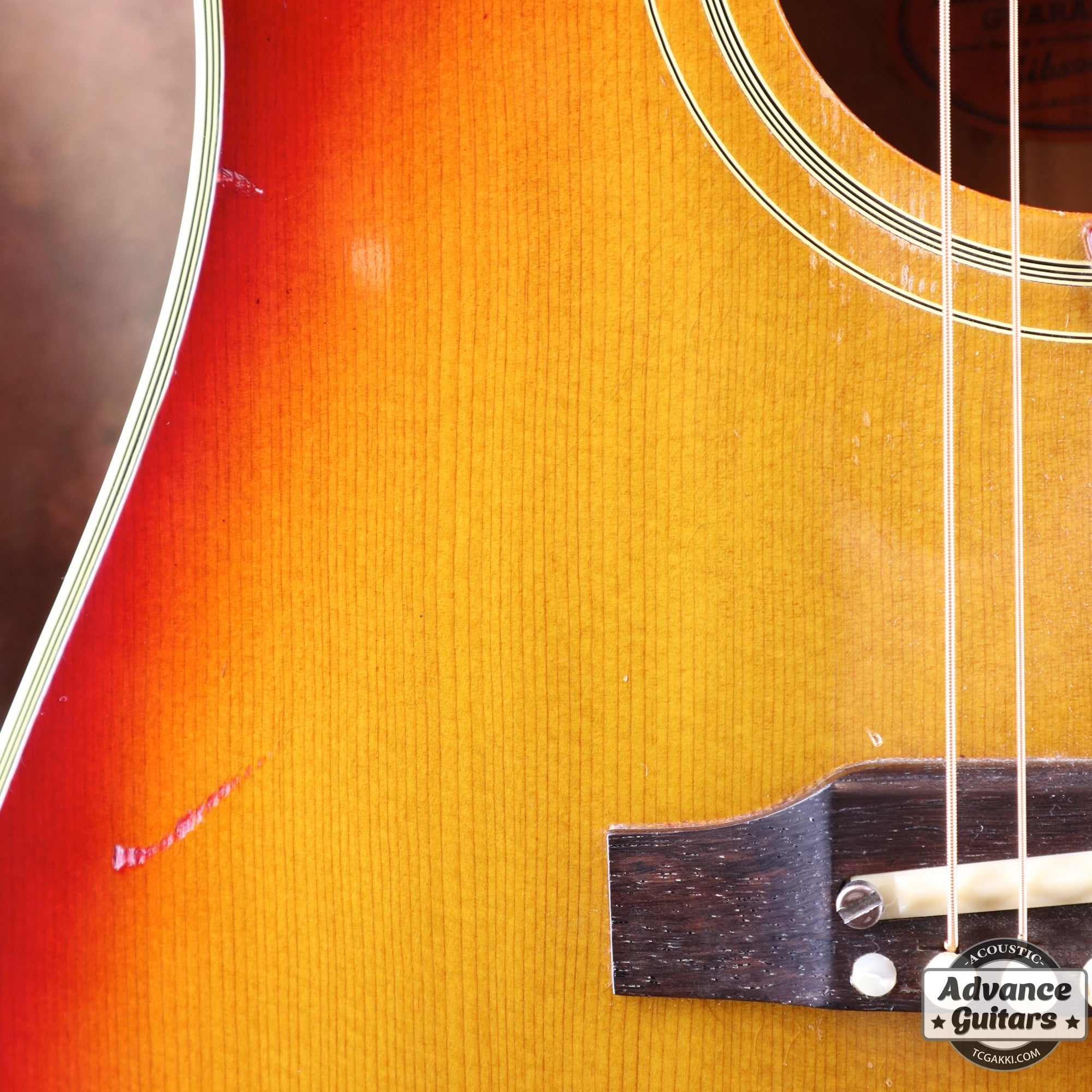 1963年製 Hummingbird Maple - TC楽器 - TCGAKKI