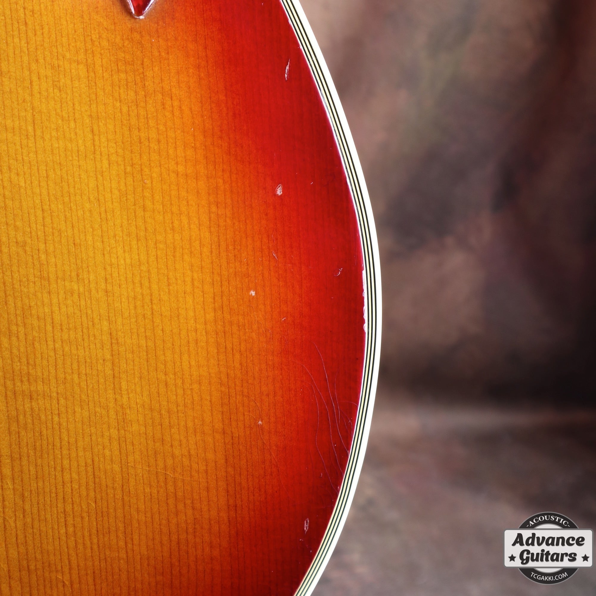 1963年製 Hummingbird Maple - TC楽器 - TCGAKKI