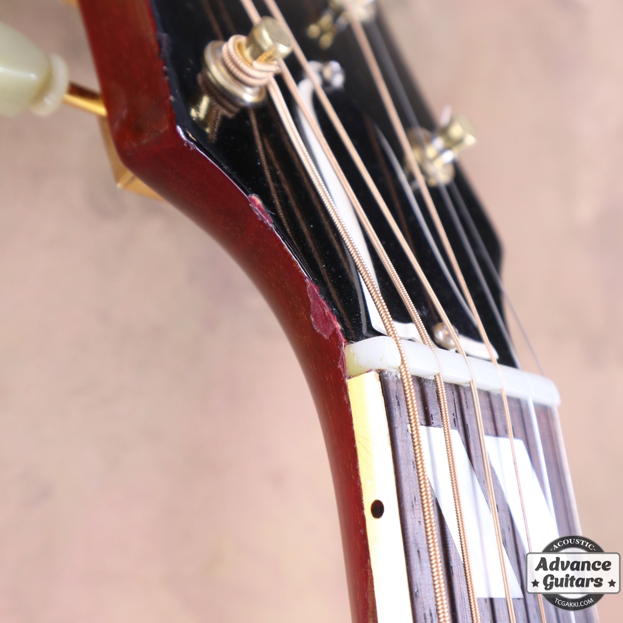 1963年製 Hummingbird Maple - TC楽器 - TCGAKKI