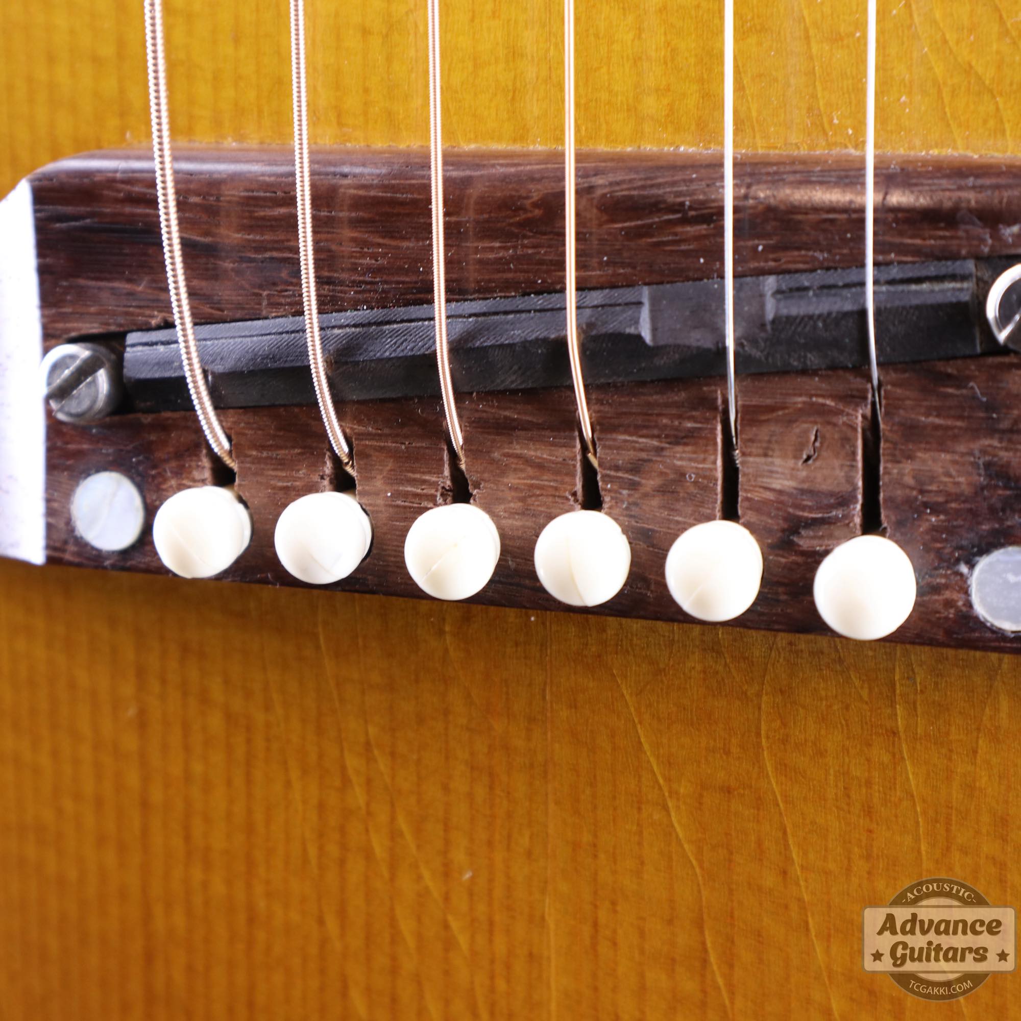 1963年製 Hummingbird Maple - TC楽器 - TCGAKKI