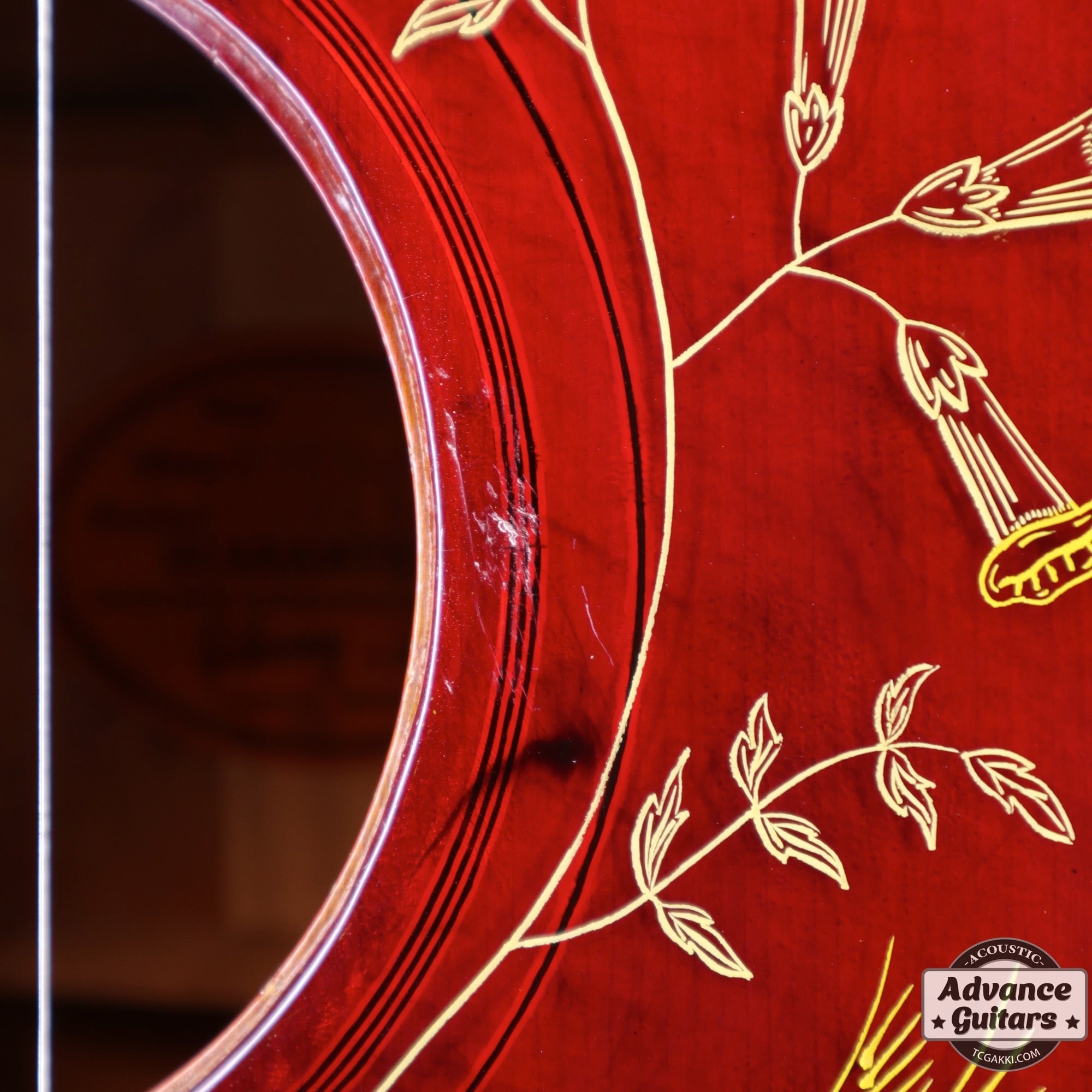 1963年製 Hummingbird Maple - TC楽器 - TCGAKKI