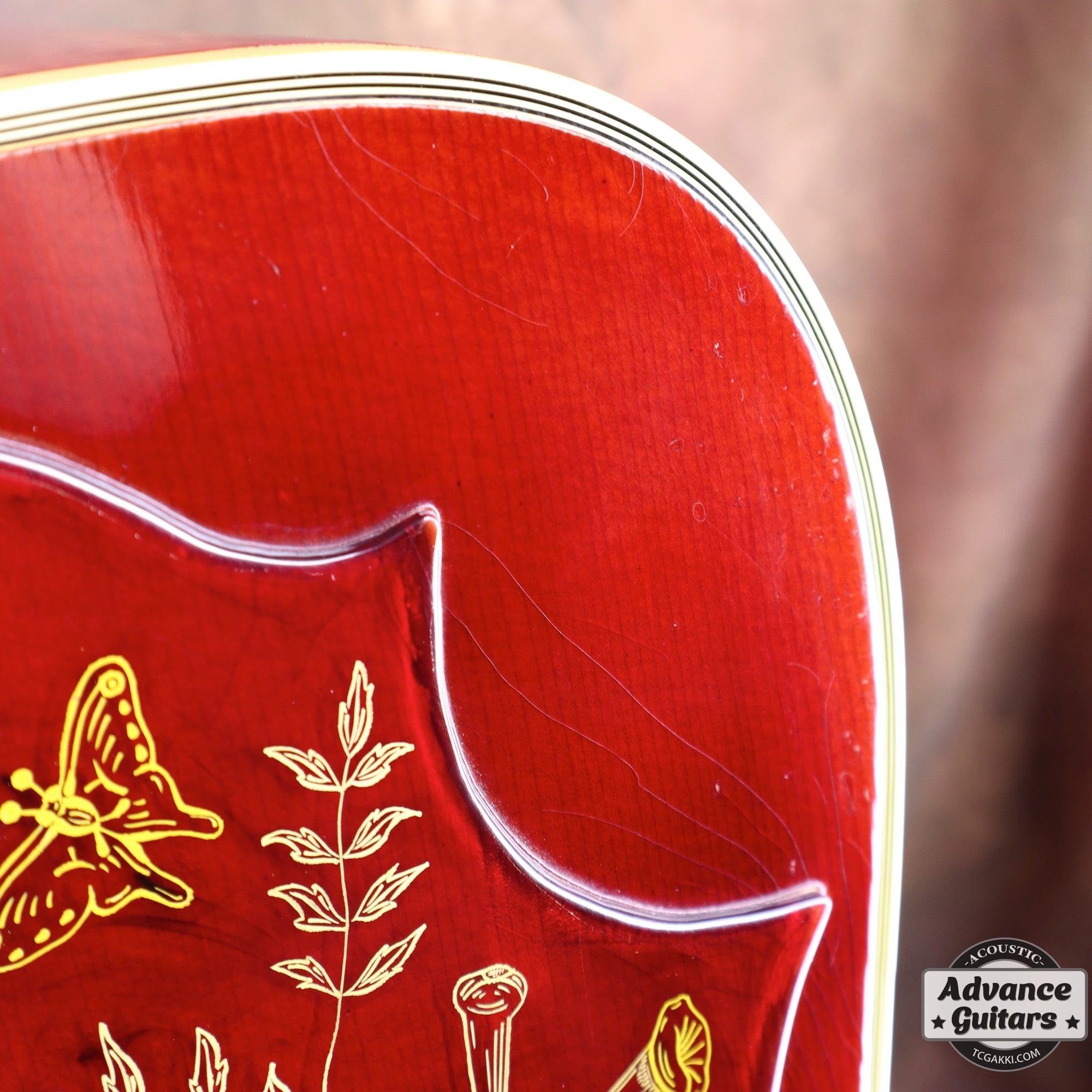 1963年製 Hummingbird Maple - TC楽器 - TCGAKKI