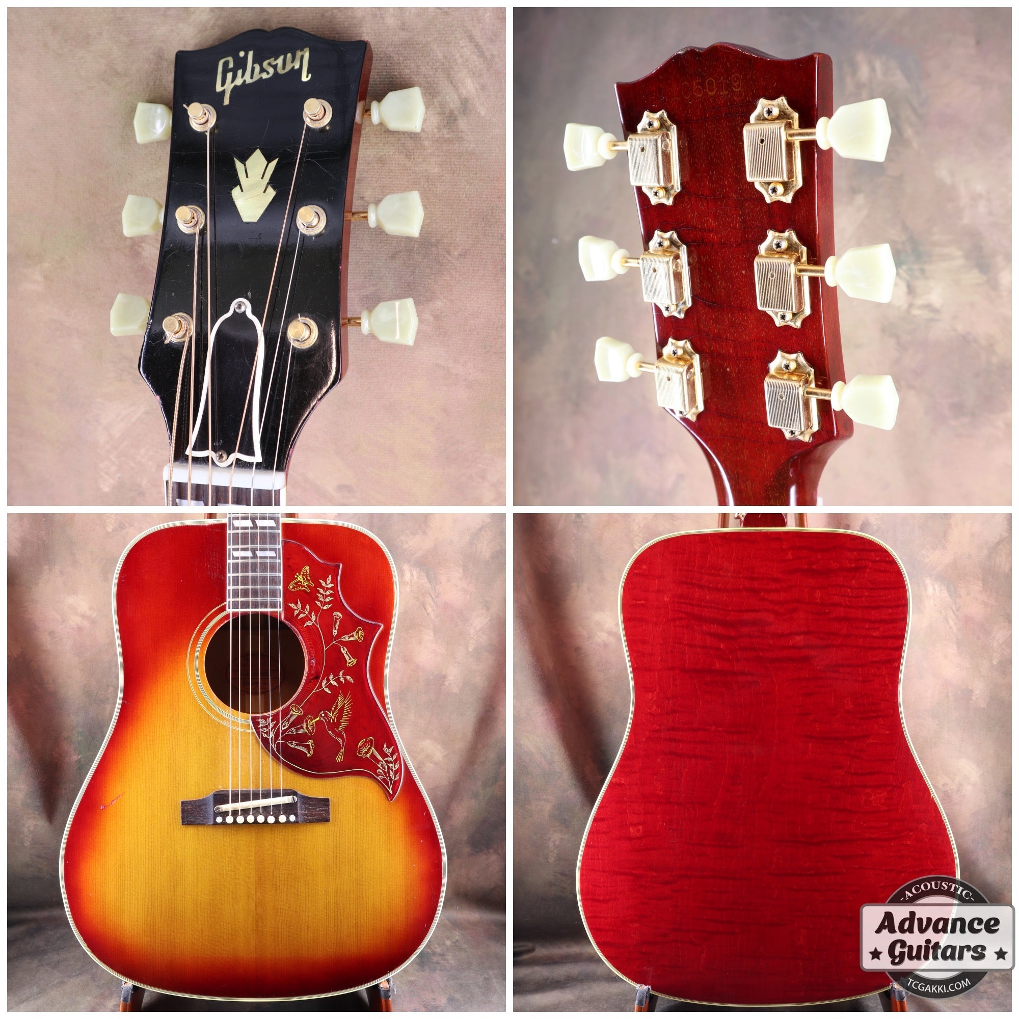 1963年製 Hummingbird Maple - TC楽器 - TCGAKKI