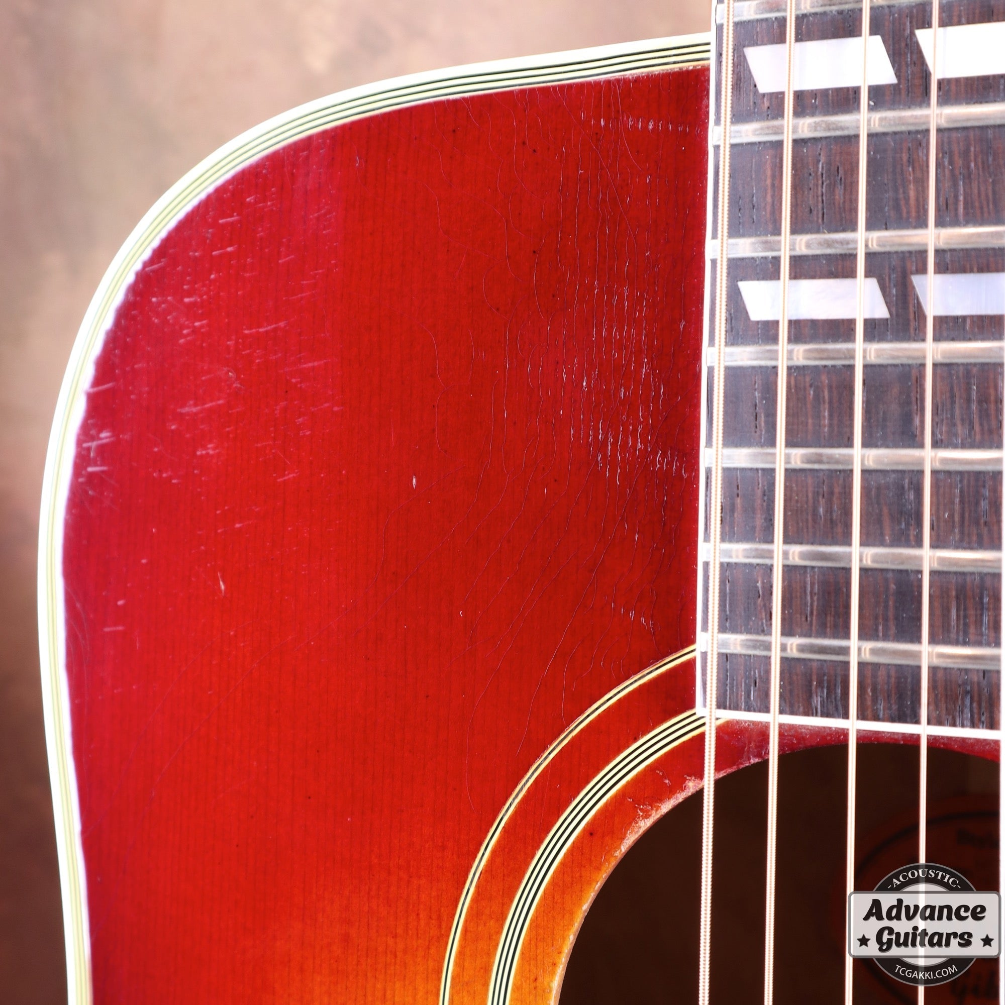 1963年製 Hummingbird Maple - TC楽器 - TCGAKKI