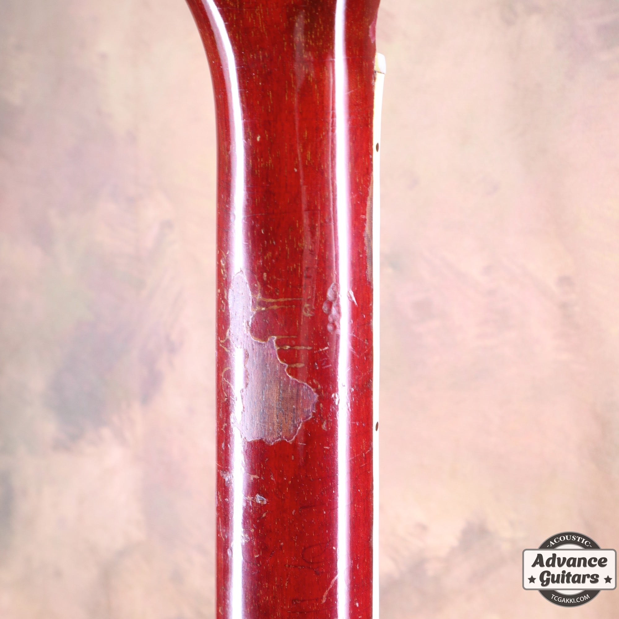 1963年製 Hummingbird Maple - TC楽器 - TCGAKKI