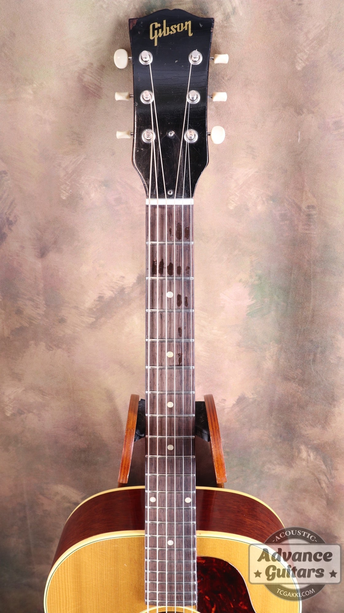 1964年製 B - 25N - TC楽器 - TCGAKKI