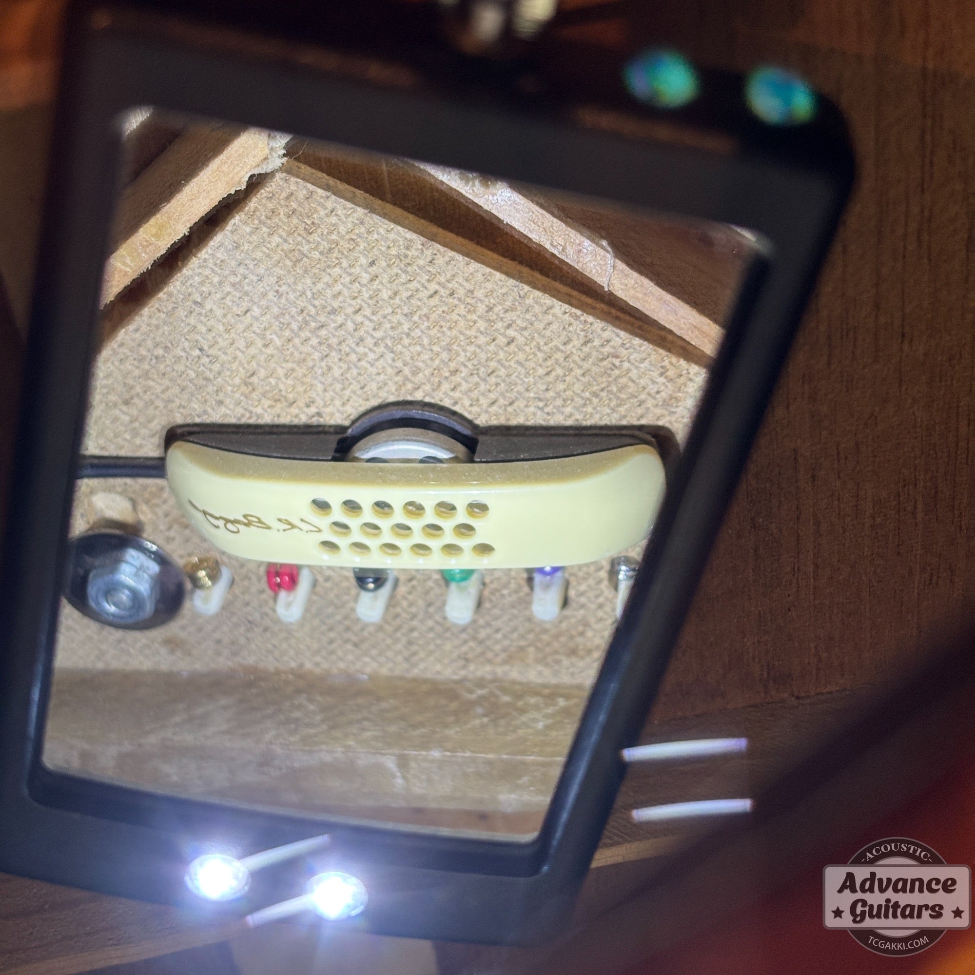 1964年製 B - 25N - TC楽器 - TCGAKKI