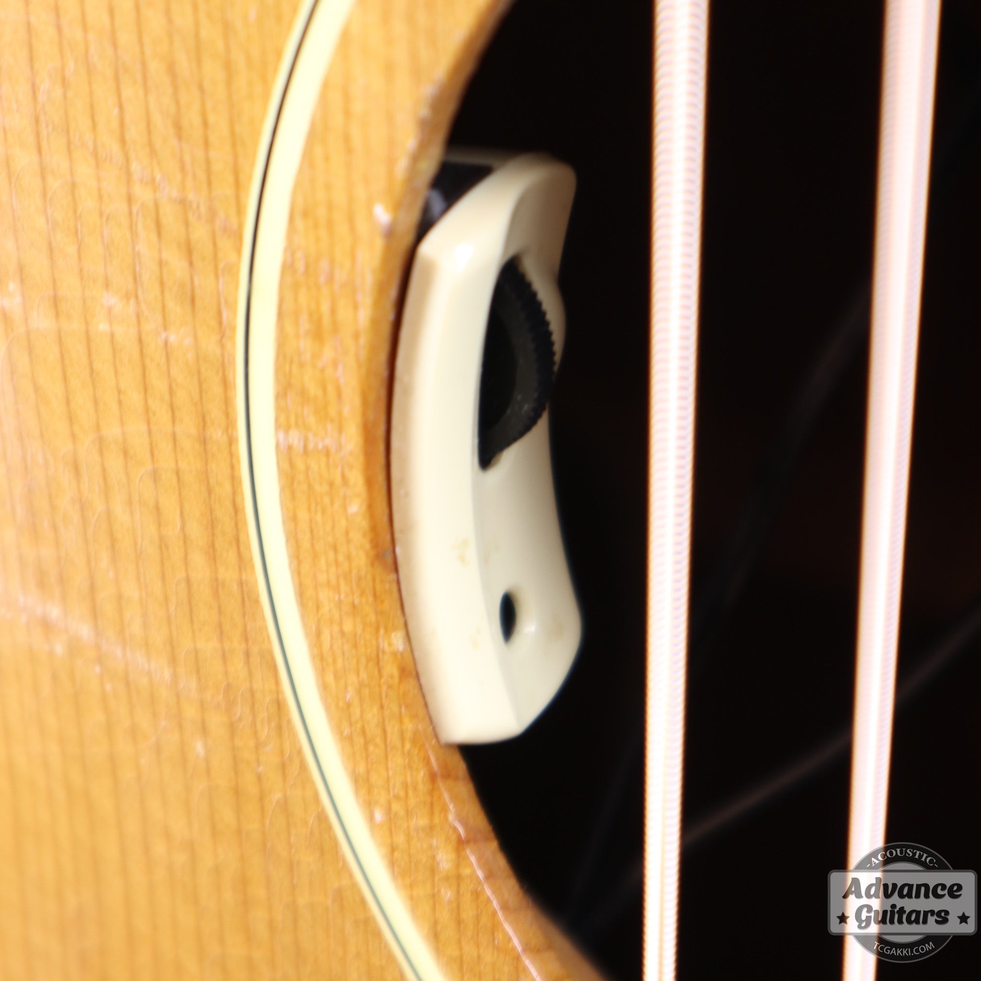 1964年製 B - 25N - TC楽器 - TCGAKKI