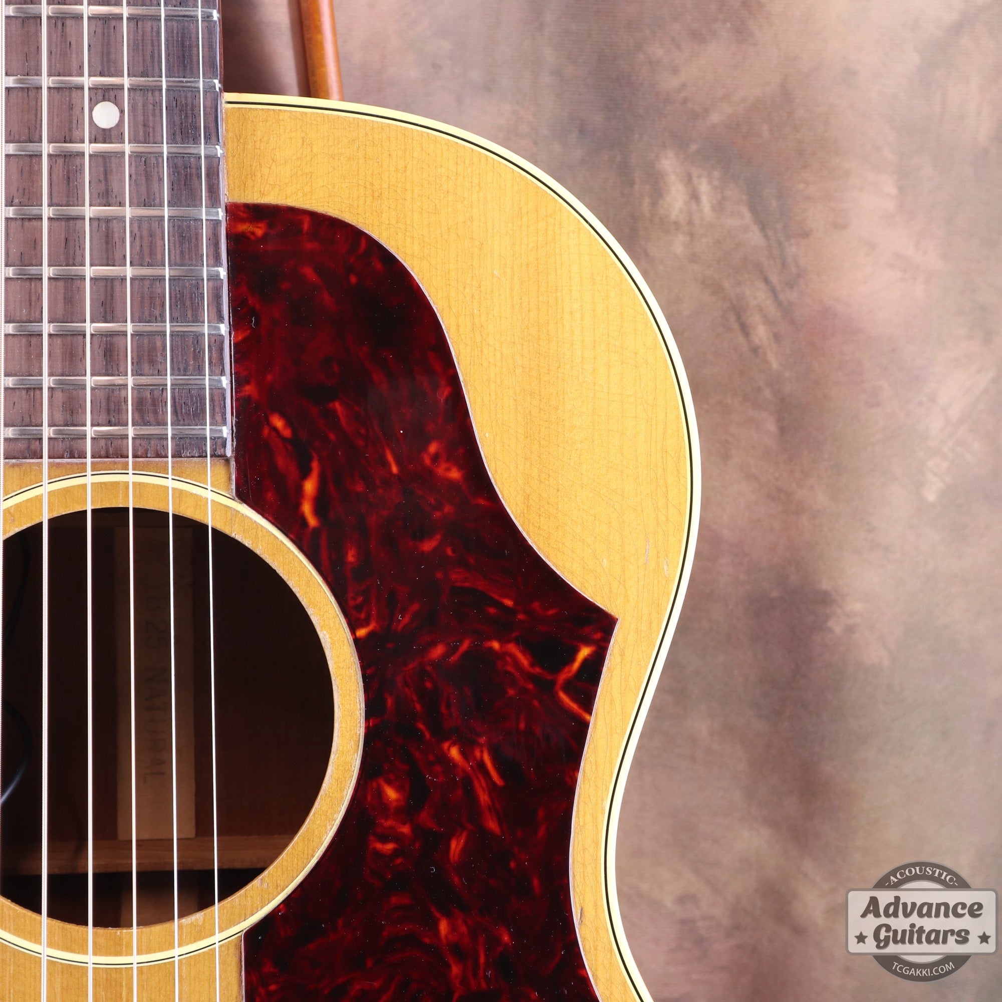 1964年製 B - 25N - TC楽器 - TCGAKKI