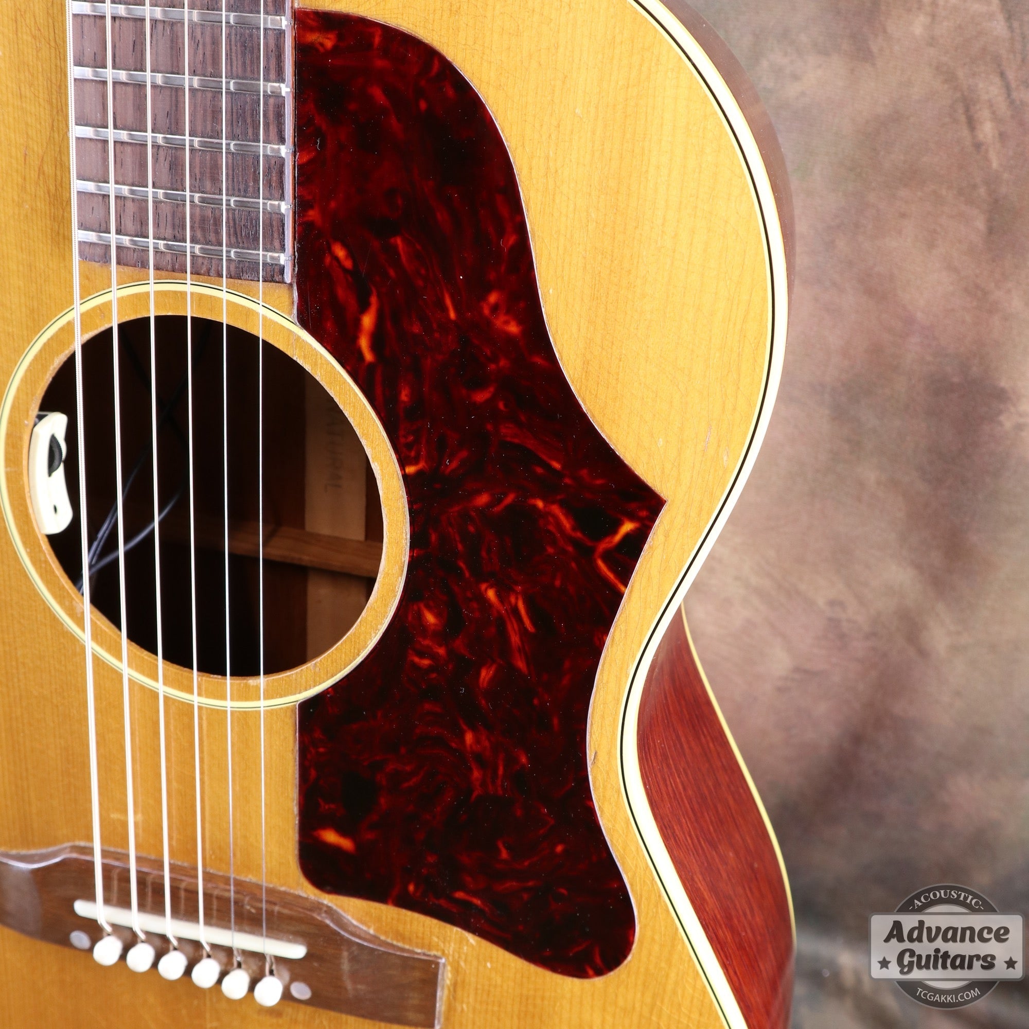 1964年製 B - 25N - TC楽器 - TCGAKKI