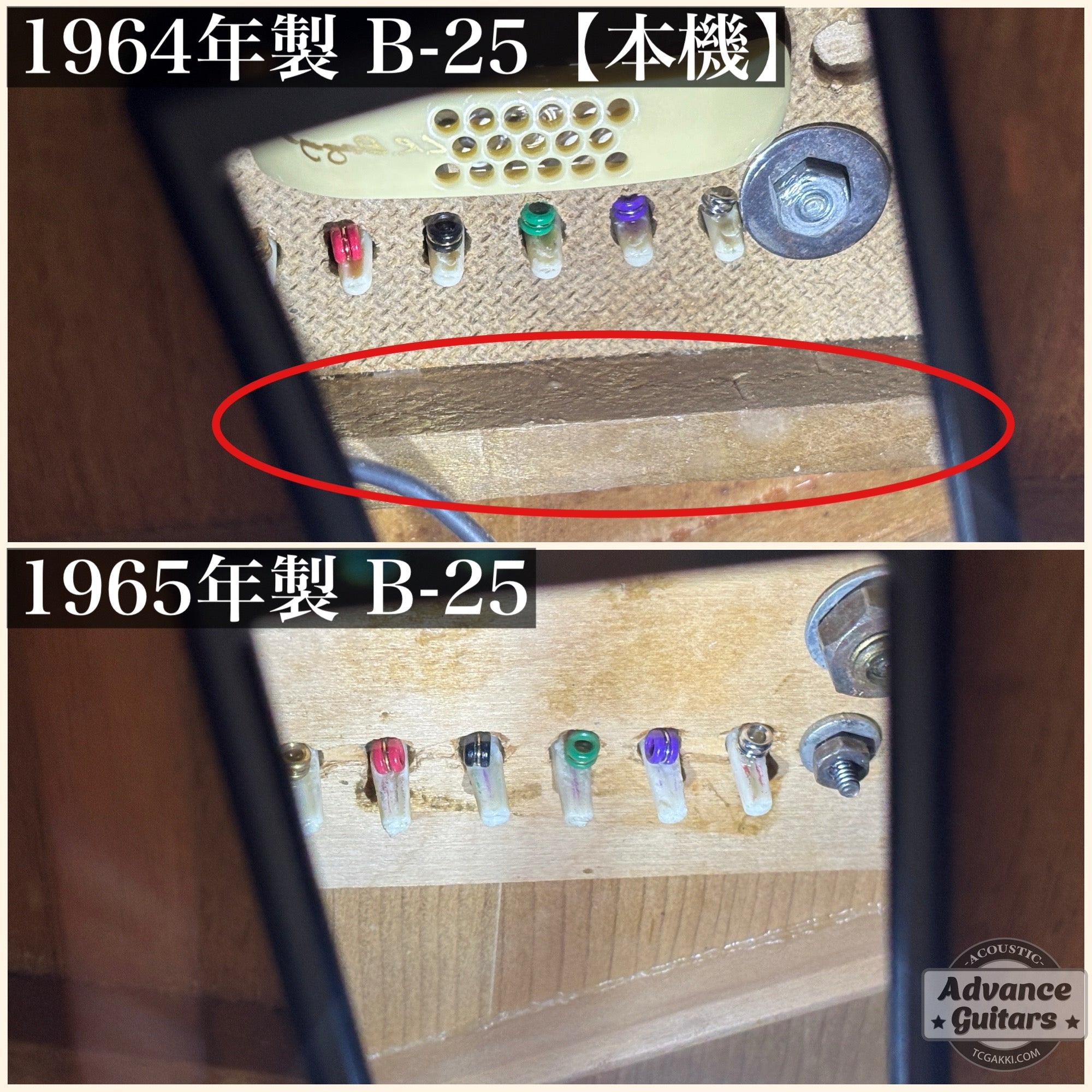 1964年製 B - 25N - TC楽器 - TCGAKKI