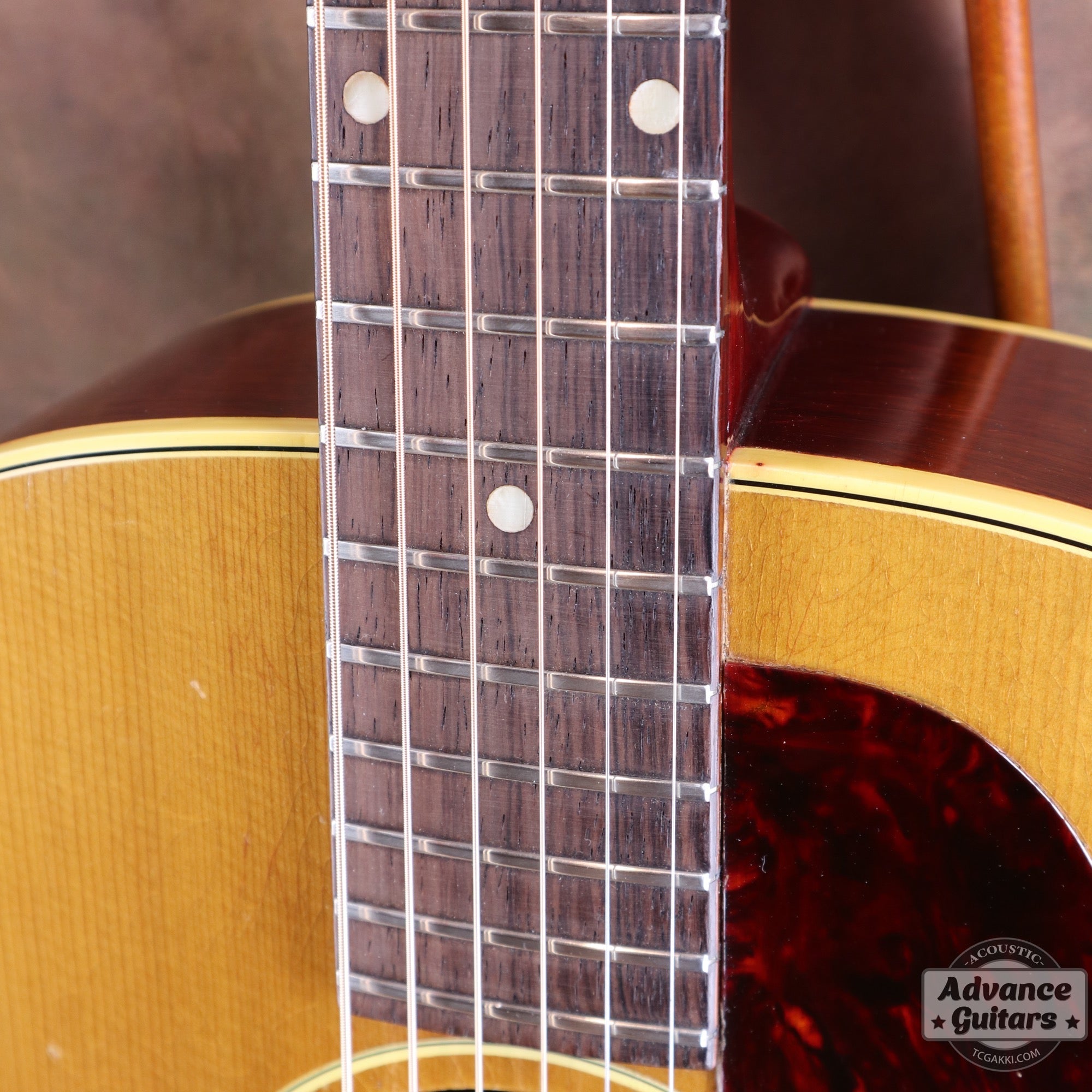 1964年製 B - 25N - TC楽器 - TCGAKKI