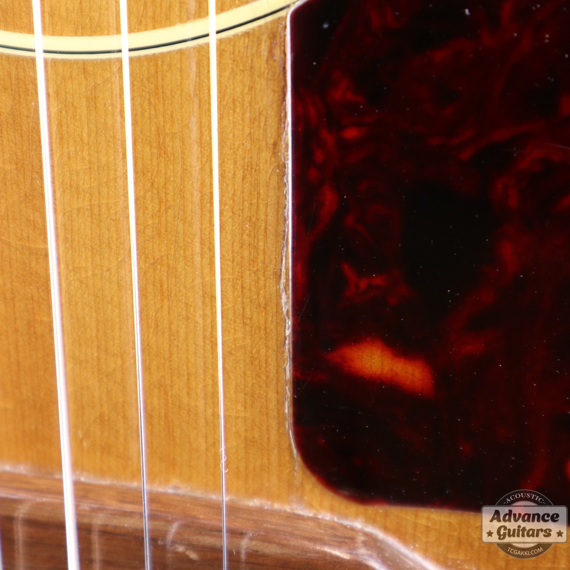 1964年製 B - 25N - TC楽器 - TCGAKKI