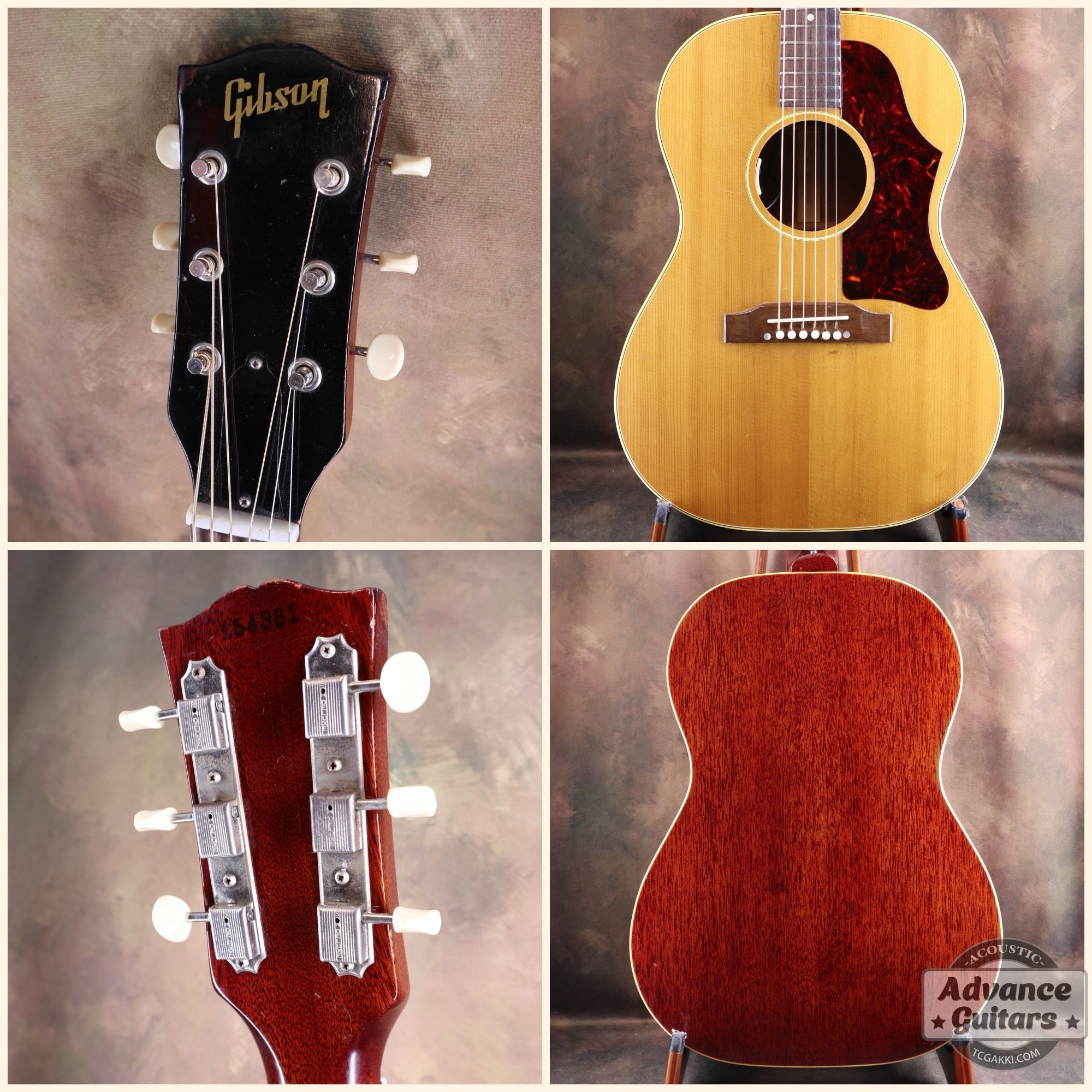 1964年製 B - 25N - TC楽器 - TCGAKKI