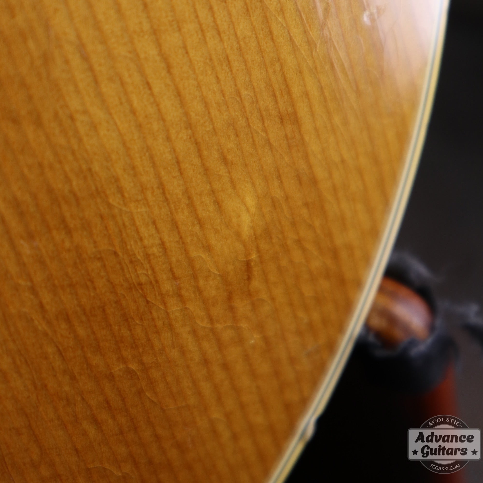 1964年製 B - 25N - TC楽器 - TCGAKKI