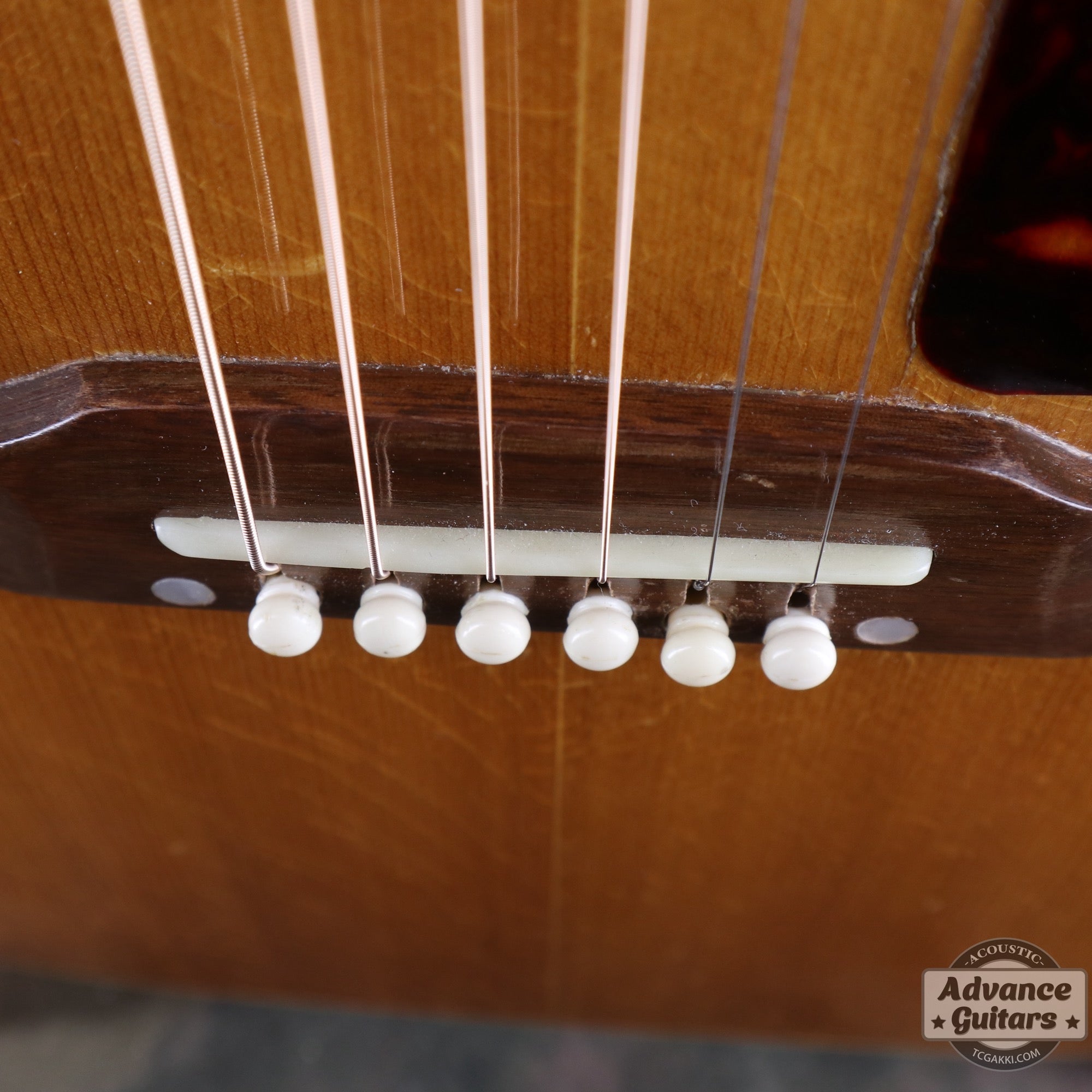 1964年製 B - 25N - TC楽器 - TCGAKKI