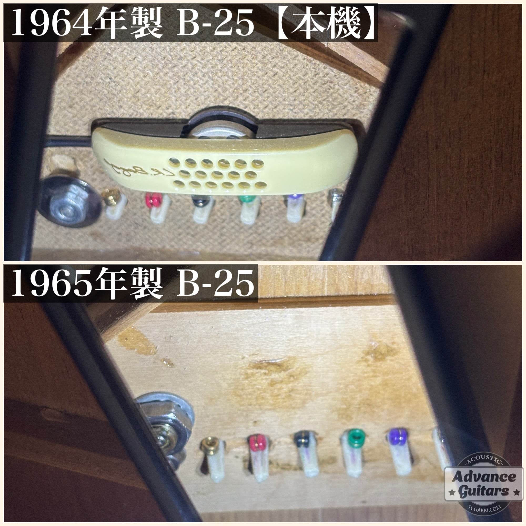 1964年製 B - 25N - TC楽器 - TCGAKKI