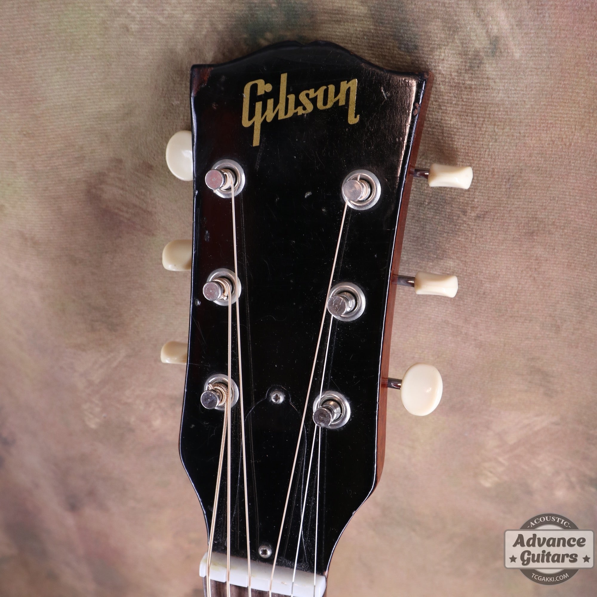 1964年製 B - 25N - TC楽器 - TCGAKKI