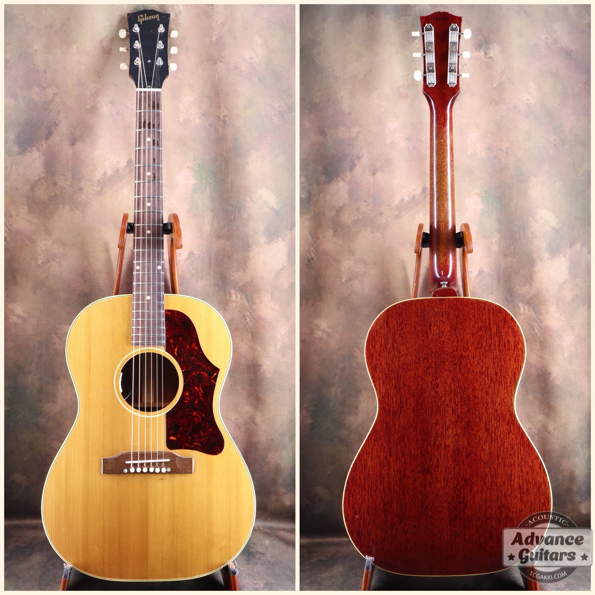 アコースティックギター｜オンライン販売｜TC楽器・大久保管楽器店