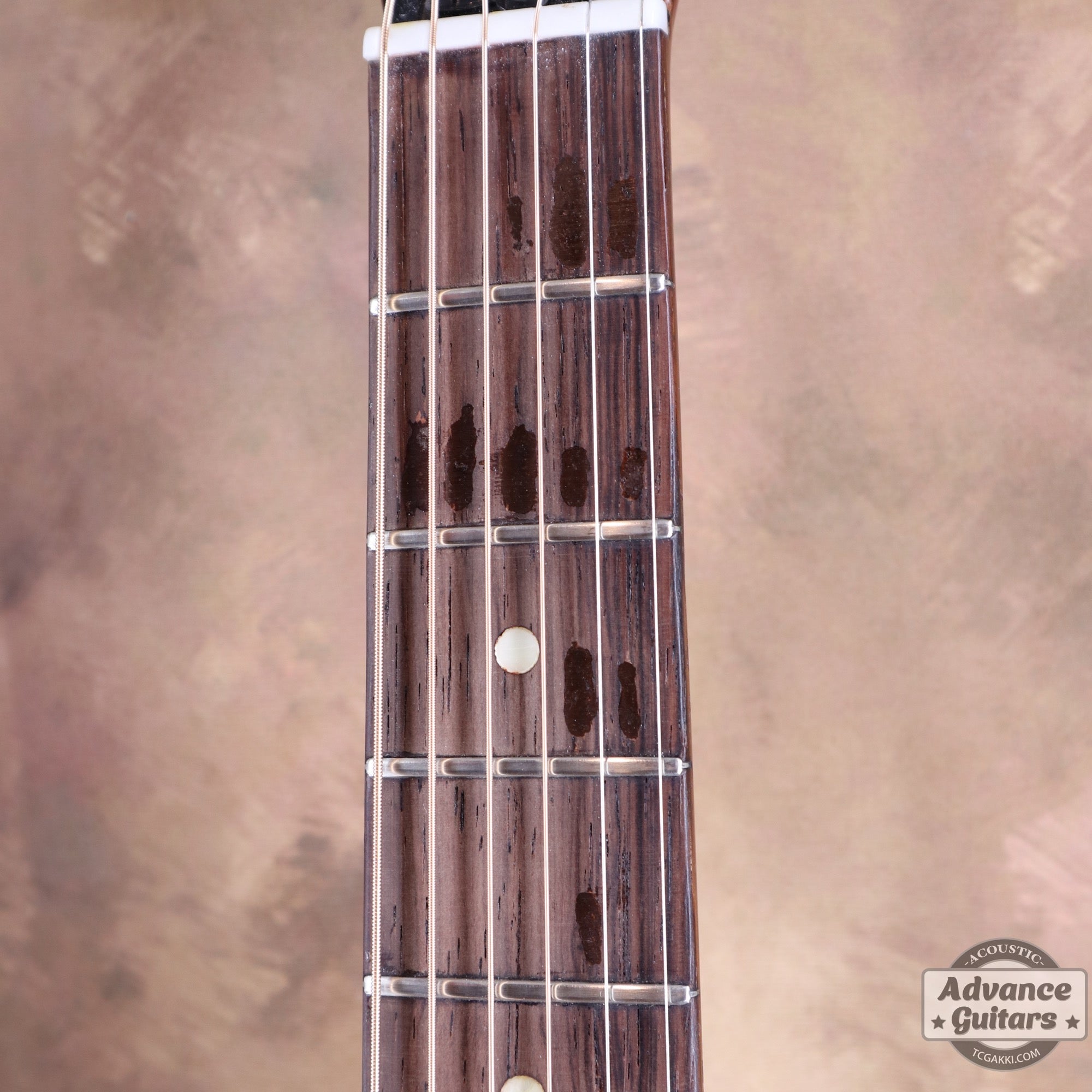 1964年製 B - 25N - TC楽器 - TCGAKKI