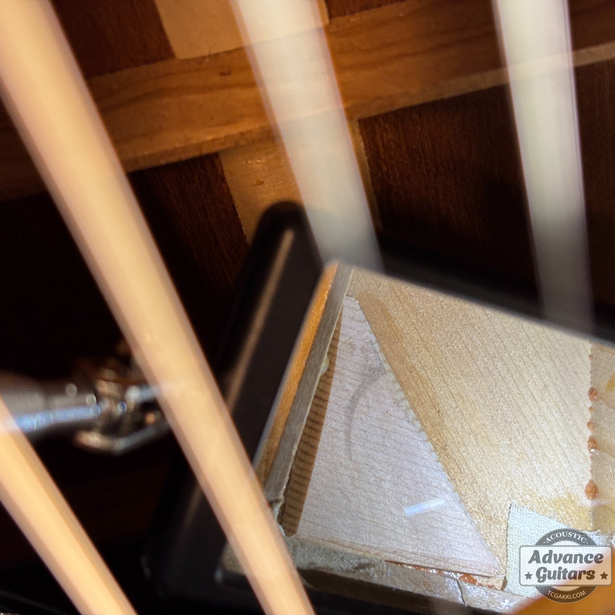 1964年製 B - 25N - TC楽器 - TCGAKKI