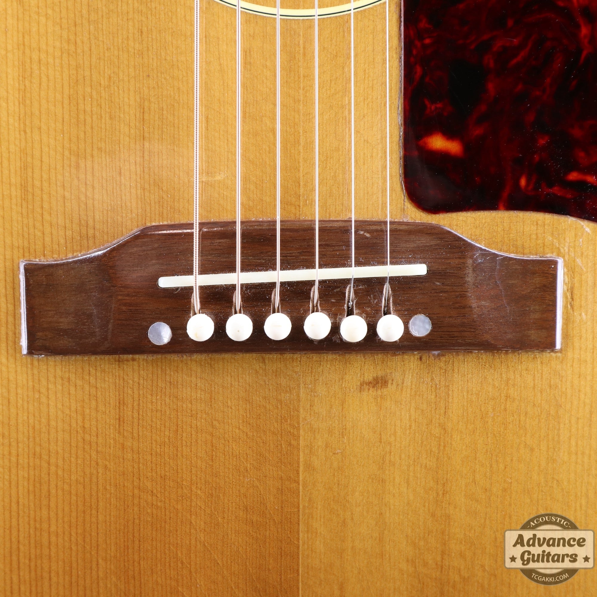 1964年製 B - 25N - TC楽器 - TCGAKKI