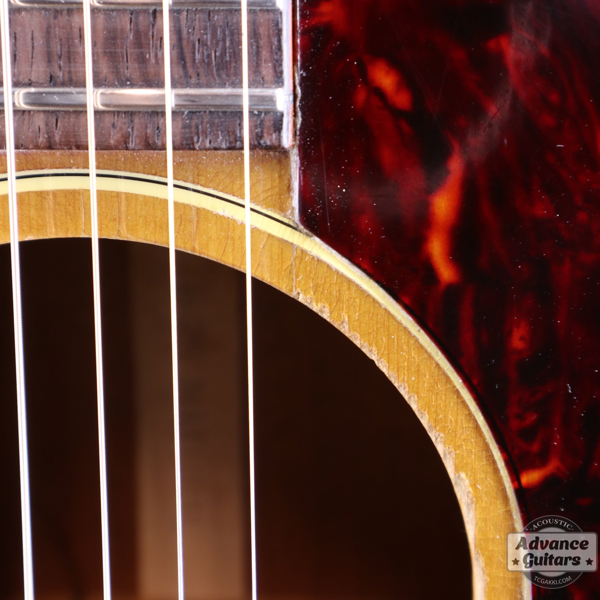 1964年製 B - 25N - TC楽器 - TCGAKKI