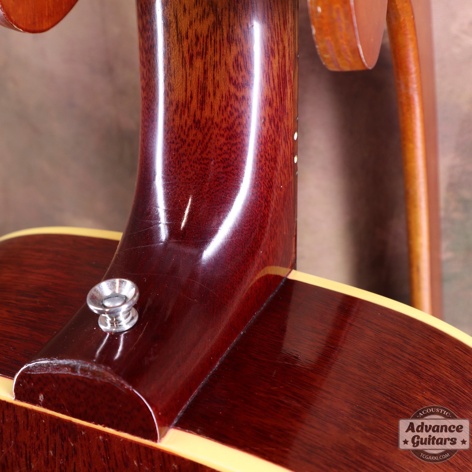 1964年製 B - 25N - TC楽器 - TCGAKKI