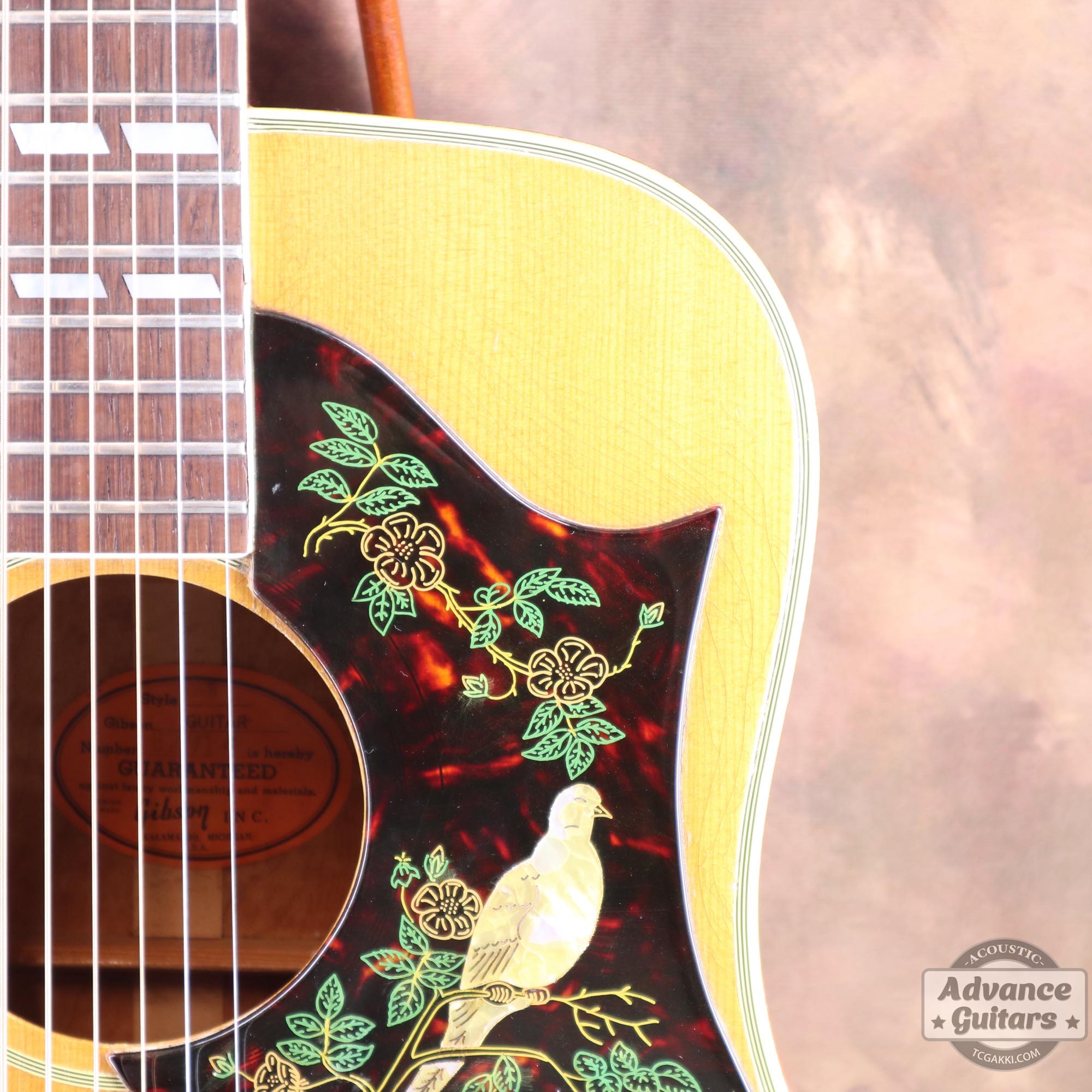 1964年製 Dove Natural - TC楽器 - TCGAKKI