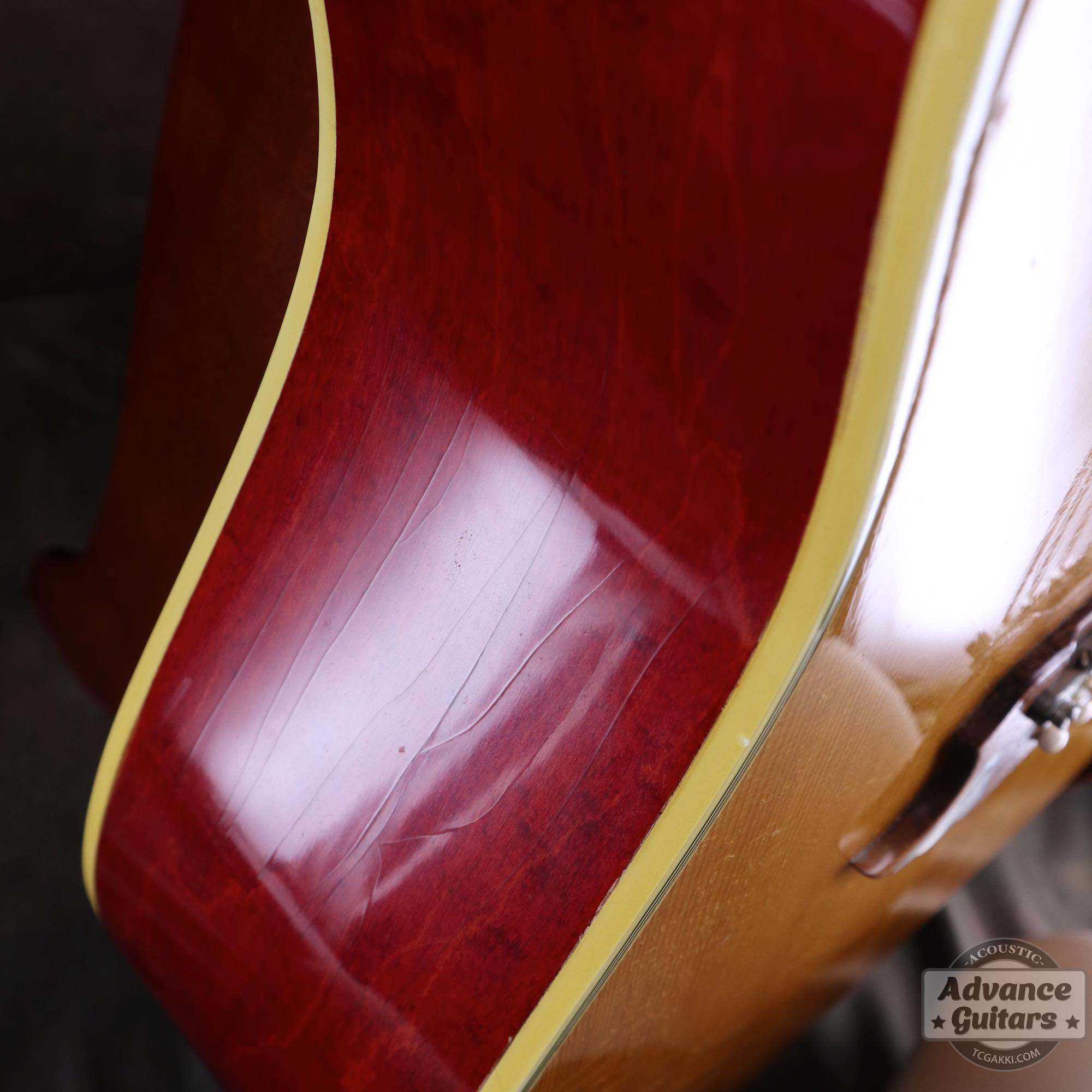 1964年製 Dove Natural - TC楽器 - TCGAKKI