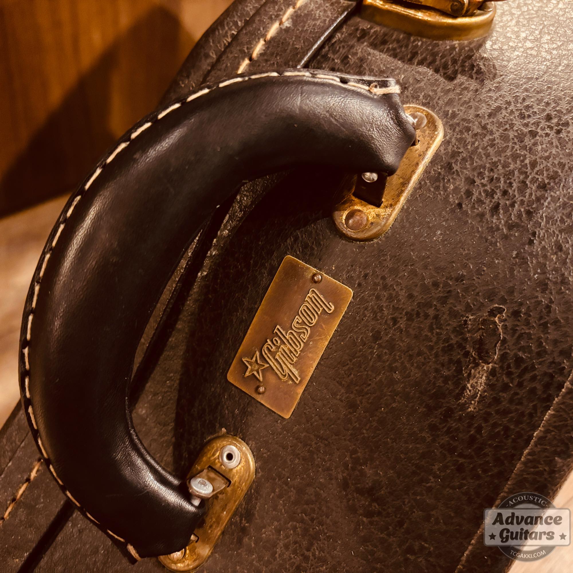 1964年製 Dove Natural - TC楽器 - TCGAKKI