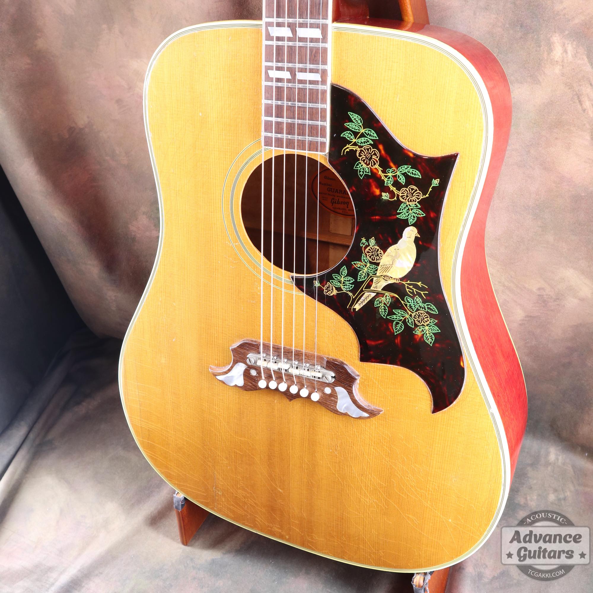 1964年製 Dove Natural - TC楽器 - TCGAKKI