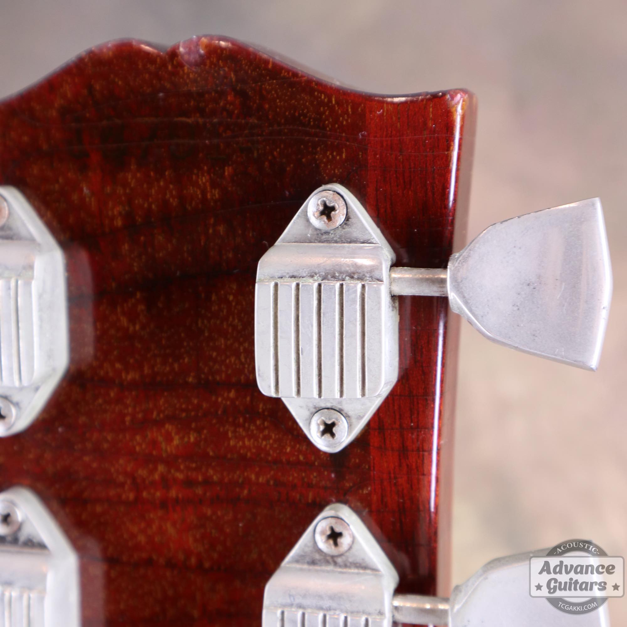 1964年製 Dove Natural - TC楽器 - TCGAKKI