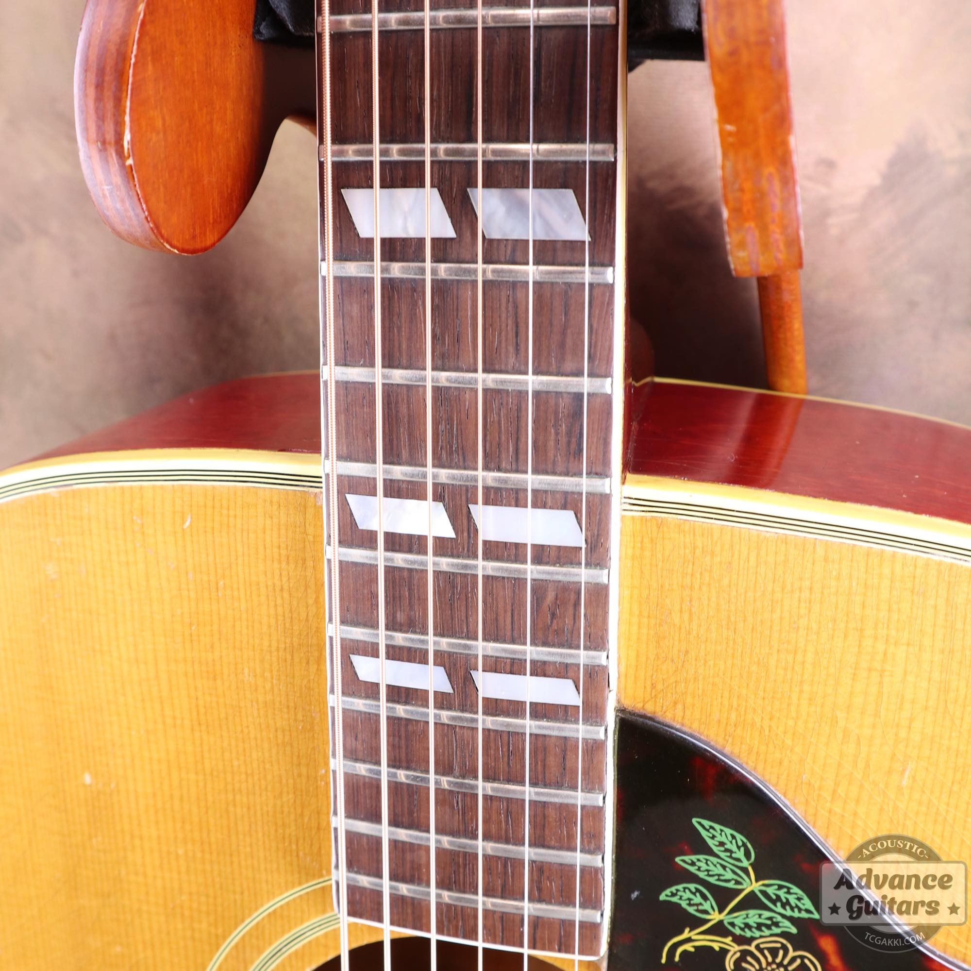 1964年製 Dove Natural - TC楽器 - TCGAKKI