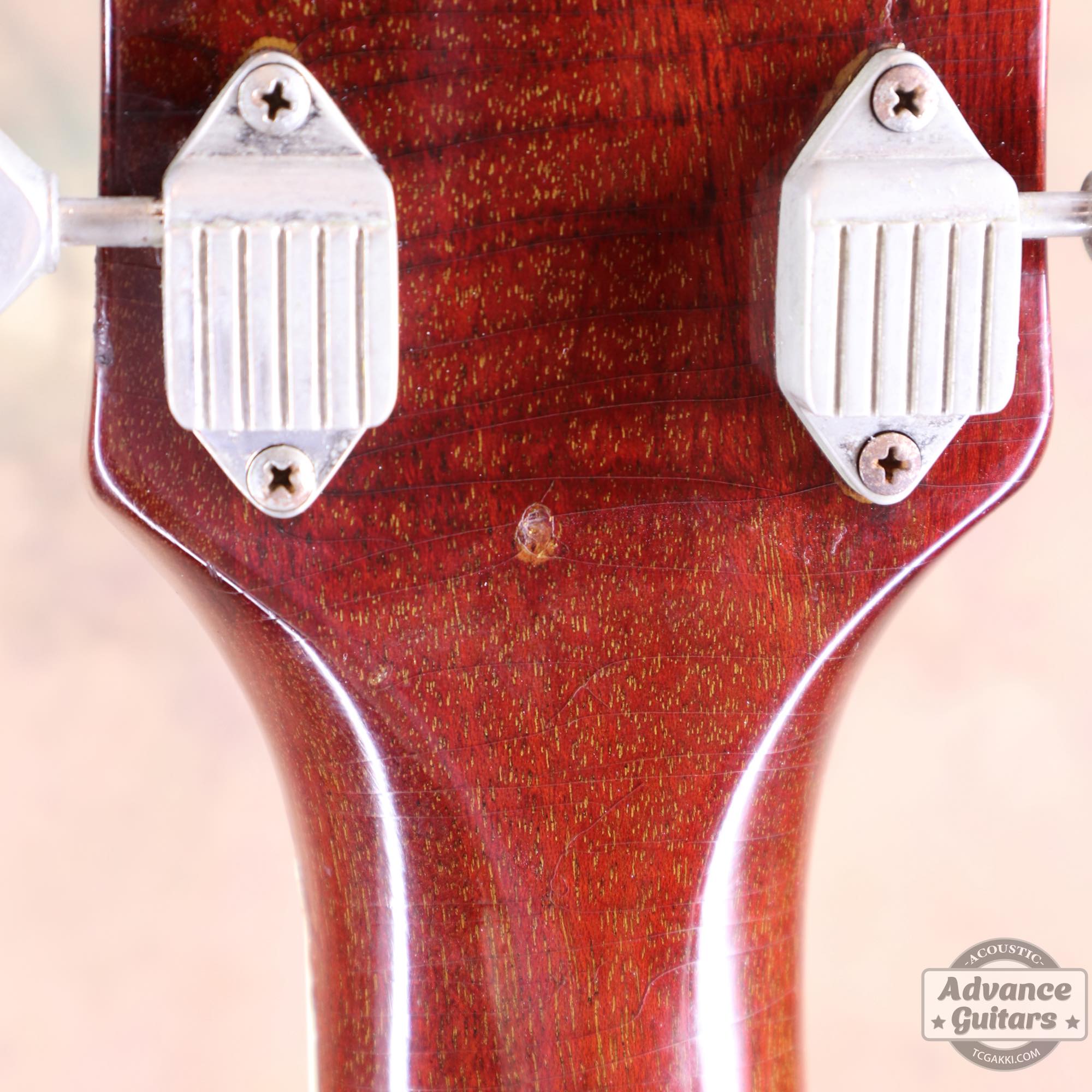 1964年製 Dove Natural - TC楽器 - TCGAKKI