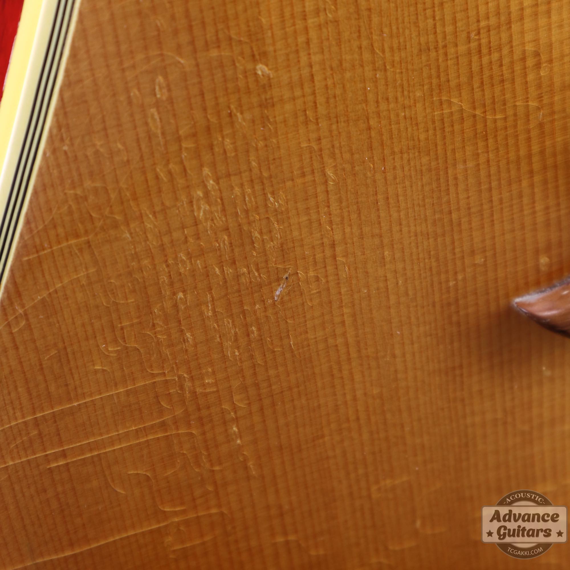 1964年製 Dove Natural - TC楽器 - TCGAKKI