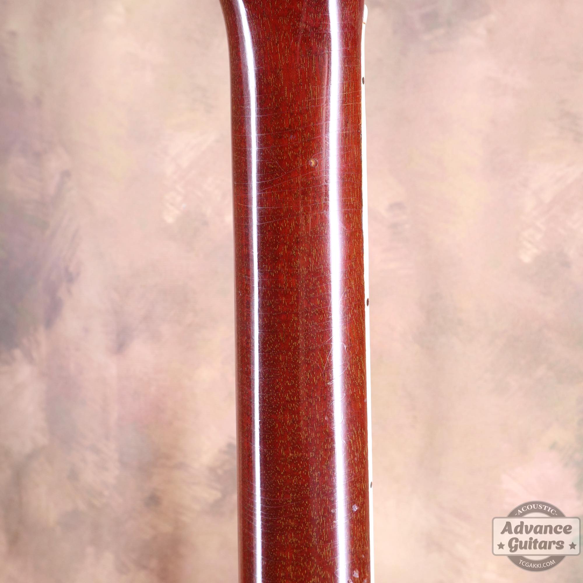 1964年製 Dove Natural - TC楽器 - TCGAKKI