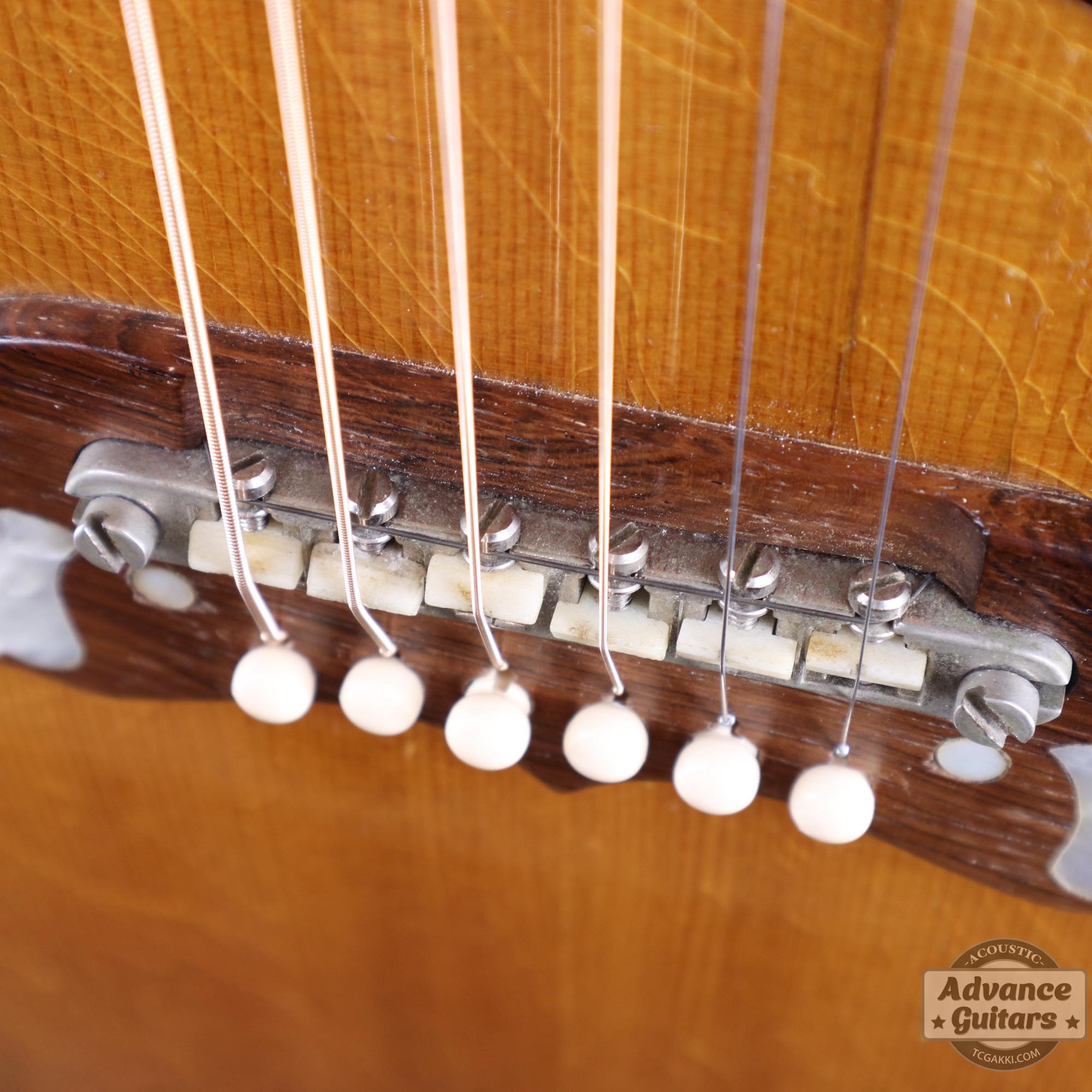 1964年製 Dove Natural - TC楽器 - TCGAKKI